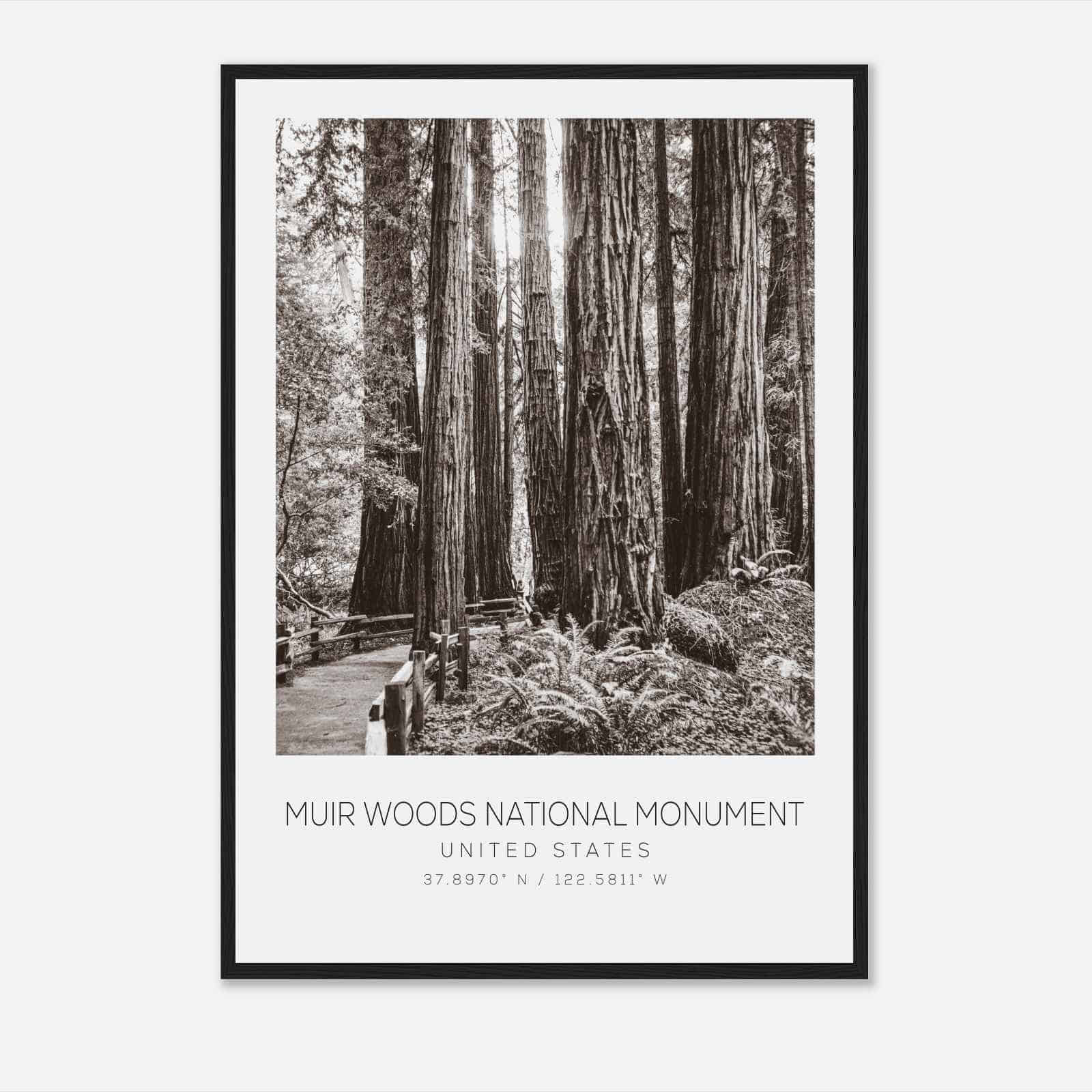 Muir Woods National Monument United States Travel Photo Poster BW, Muir Woods National Monument Travel Print, Minimalist Travel Poster Print