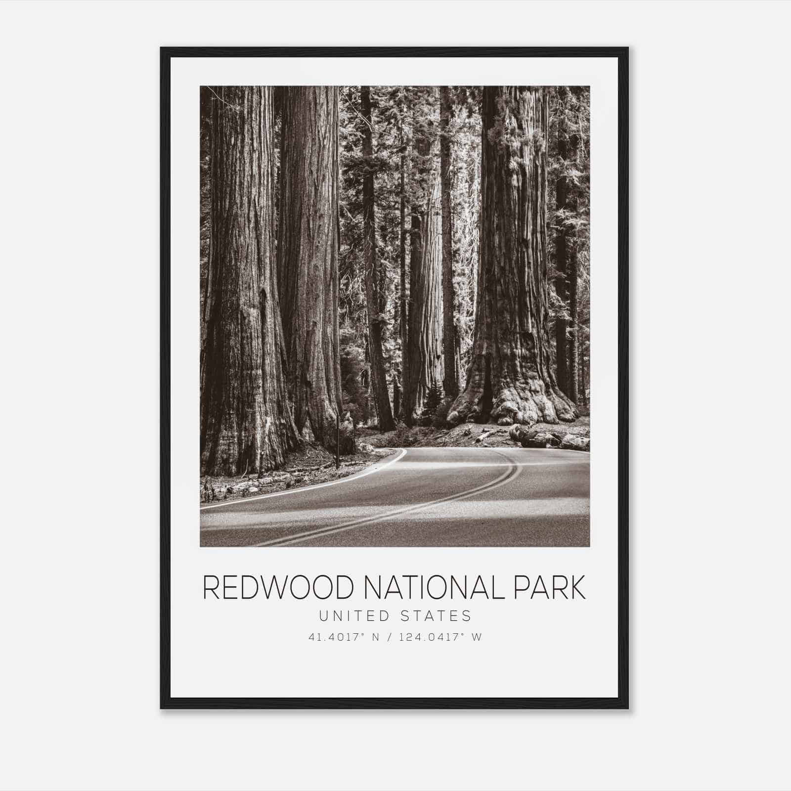 Redwood National Park United States Travel Photo Poster BW, Redwood National Park Travel Print, Minimalist Travel Poster Print