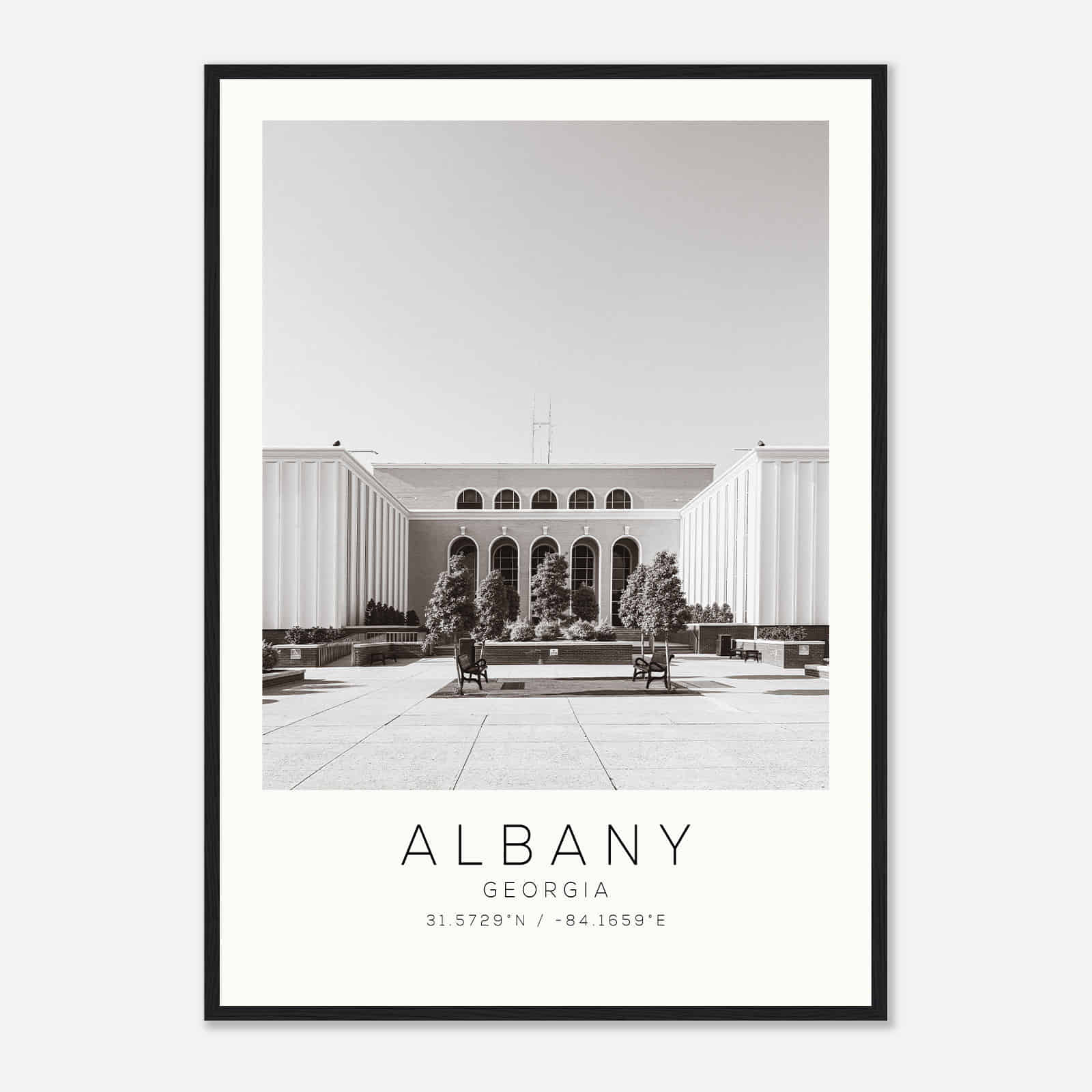 Albany New York Photo Travel Poster BW, Albany New York Travel Print, Minimalist Travel Print DS1