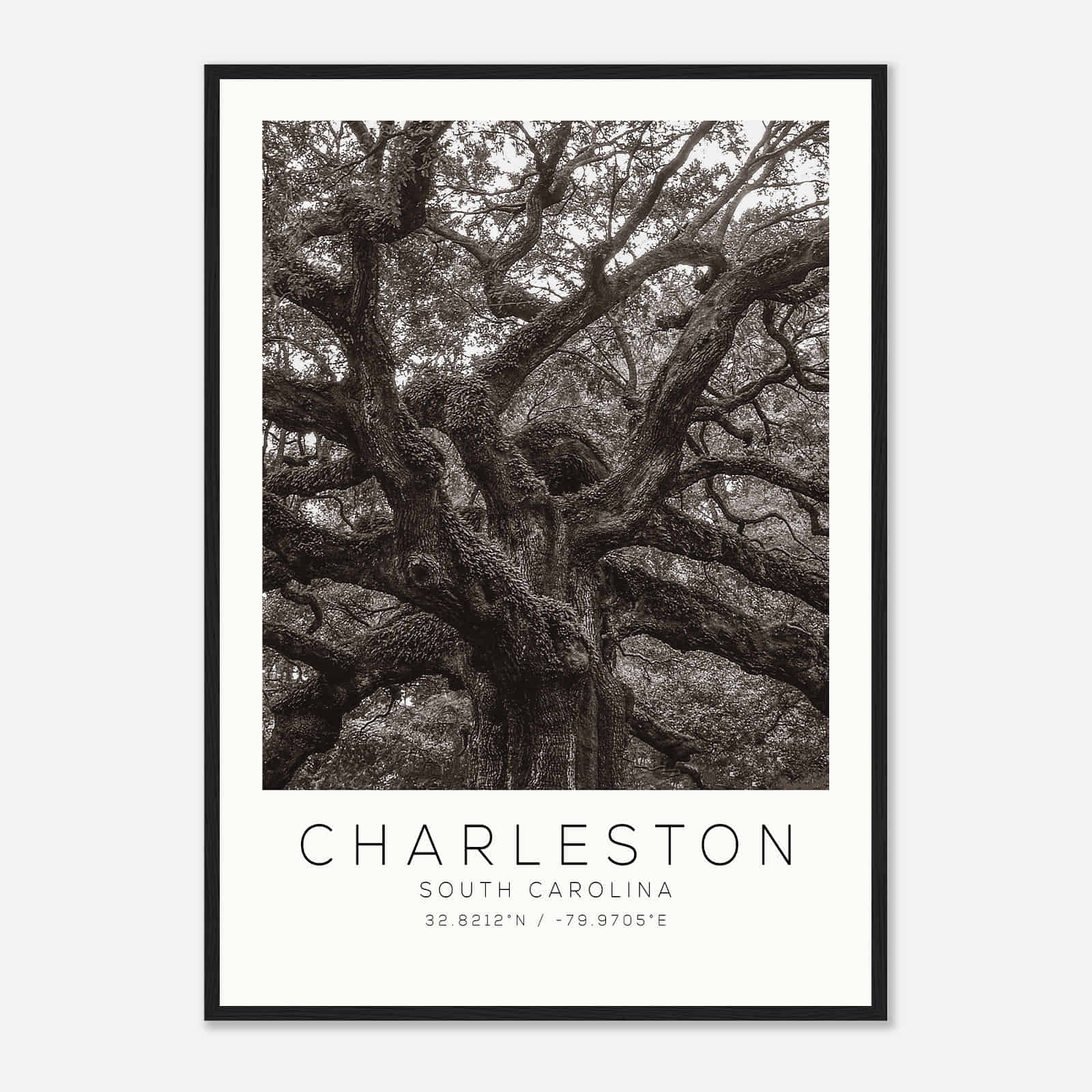 Charleston South Carolina DS1 Photo Travel Poster BW, Charleston South Carolina Travel Print, Minimalist Travel Print