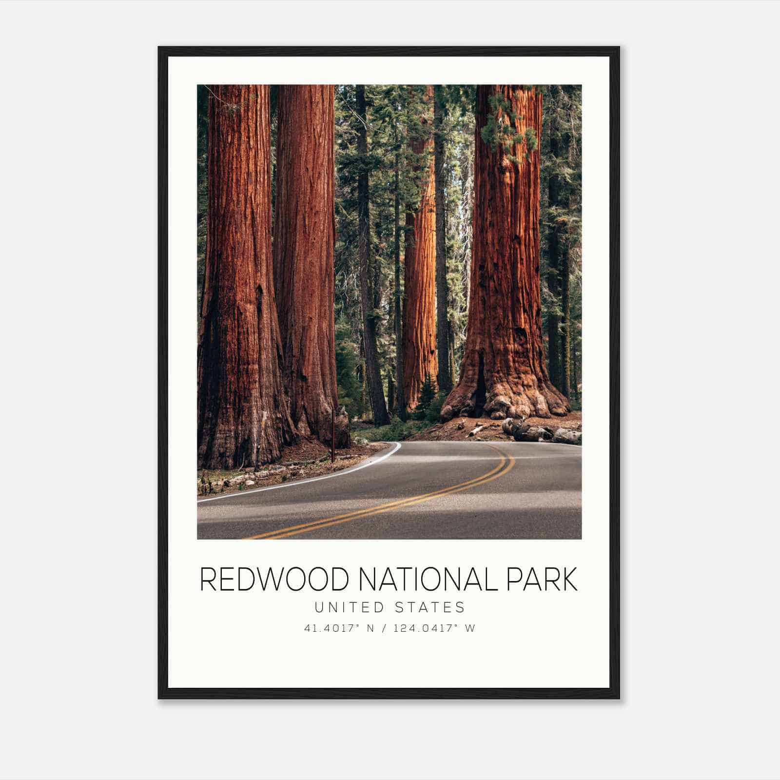 Redwood National Park United States Travel Photo Poster, Redwood National Park Travel Print, Minimalist Travel Poster Print