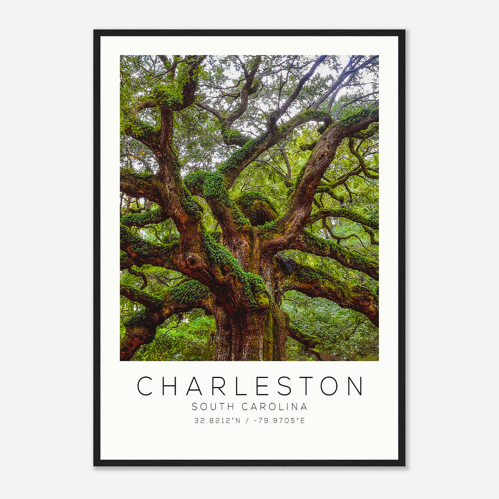 Charleston South Carolina DS1 Photo Travel Poster, Charleston South Carolina Travel Print, Minimalist Travel Print