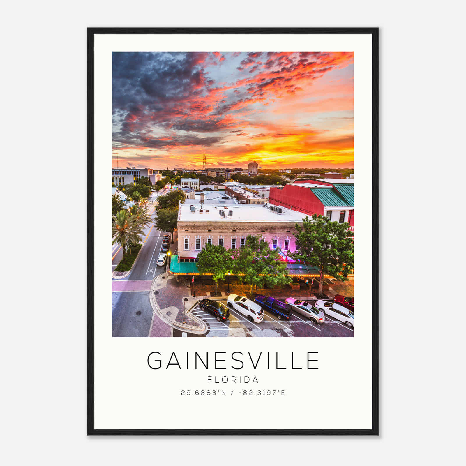Gainesville Florida Photo Travel Poster, Gainesville Travel Print, Minimalist Travel Print