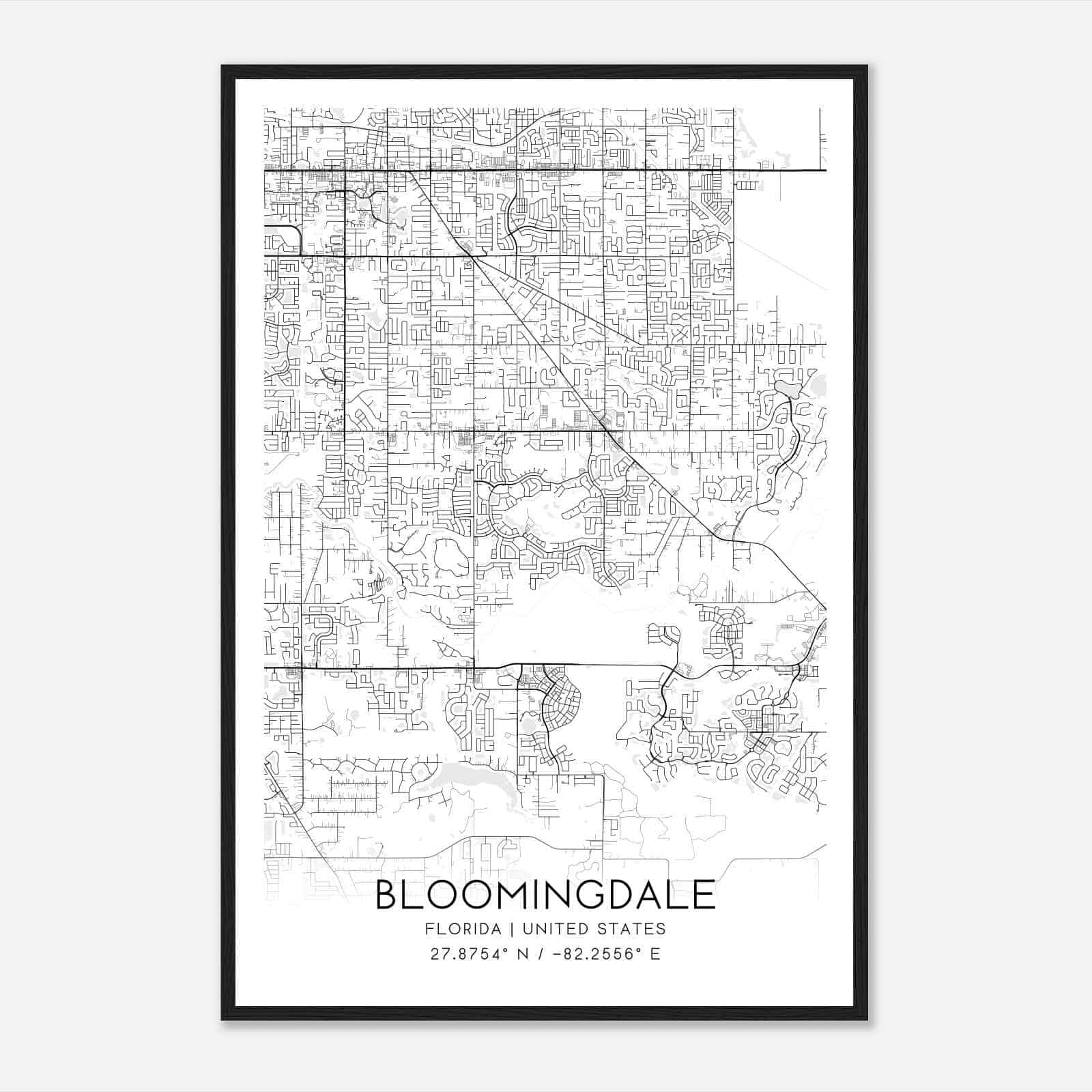 Bloomingdale Florida Map Poster, Modern Home Decor Wall Art Print