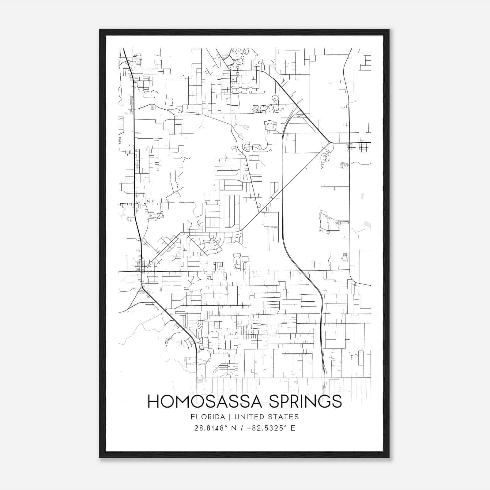 Homosassa Springs Florida Map Poster, Modern Home Decor Wall Art Print