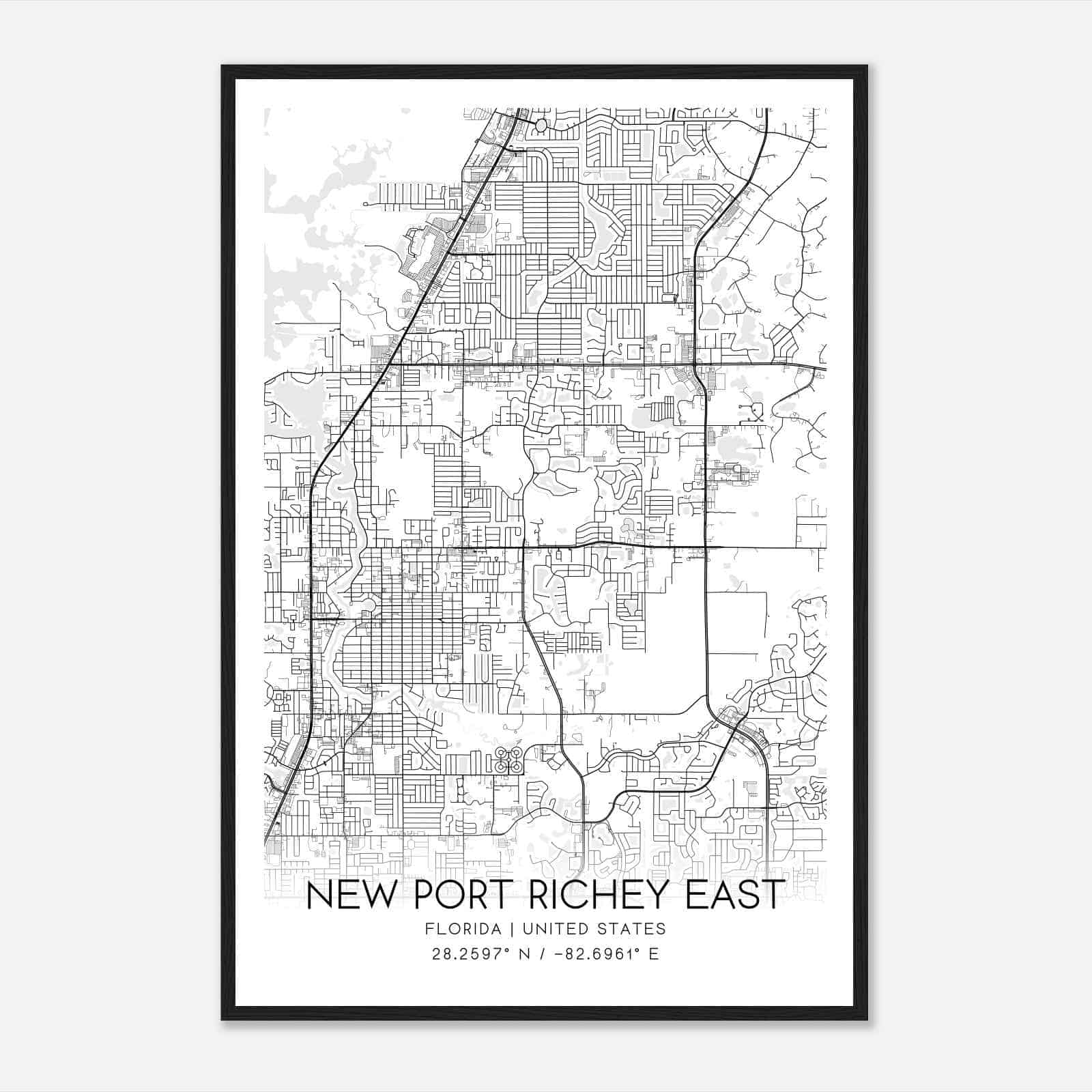 New Port Richey East Florida Map Poster, Modern Home Decor Wall Art Print