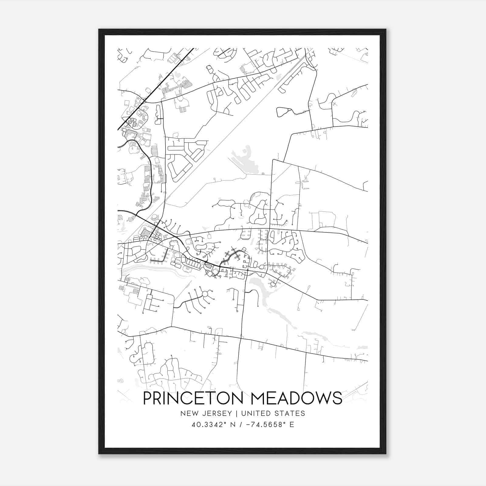 Princeton Meadows New Jersey Map Poster, Modern Home Decor Wall Art Print
