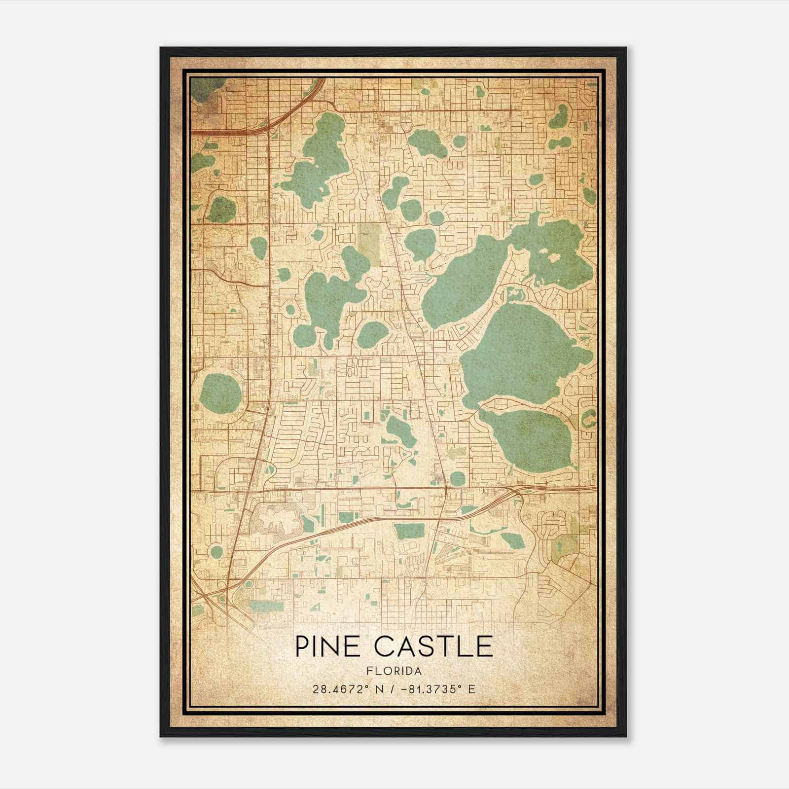 Vintage Pine Castle Florida Map Poster, Modern Home Decor Wall Art Print