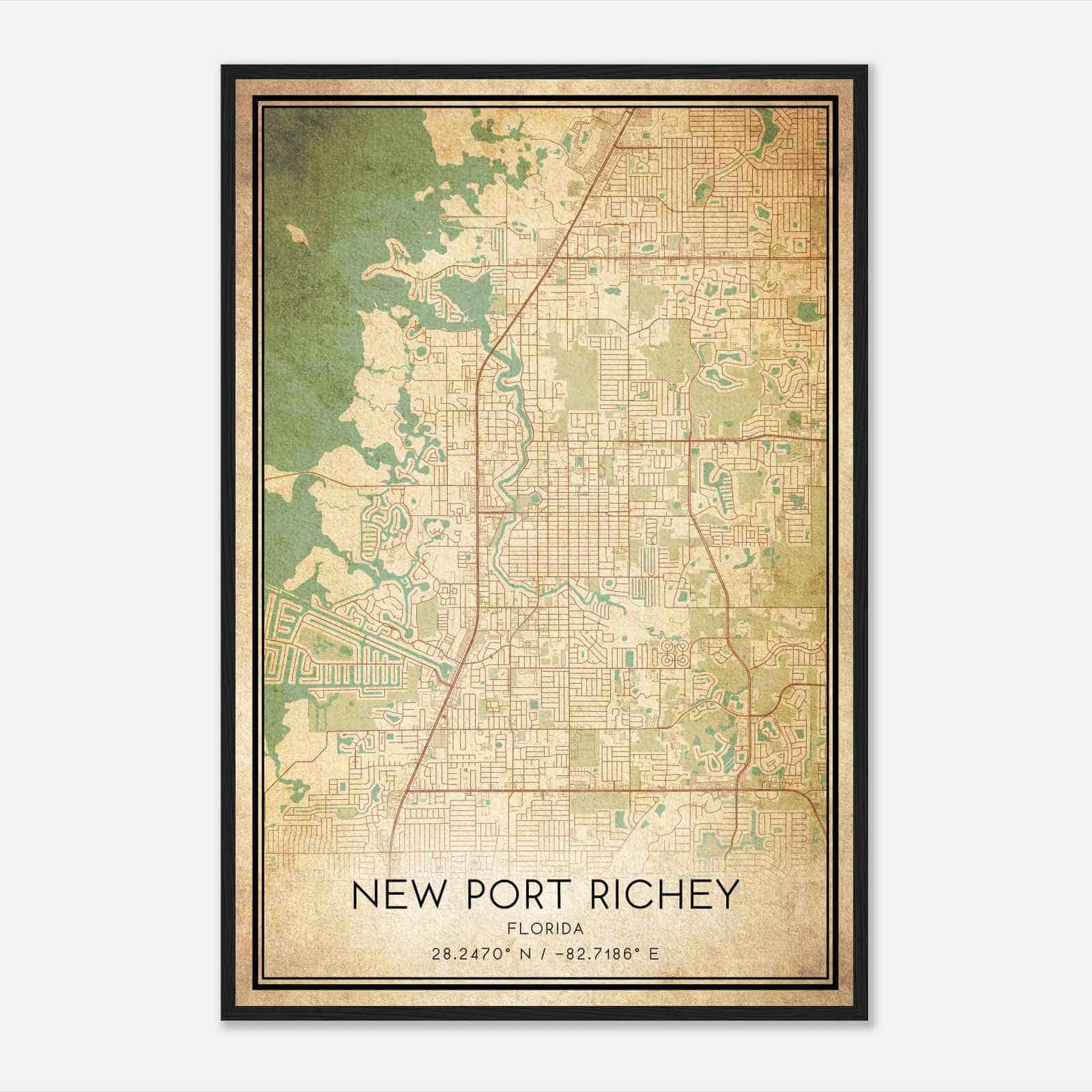 Vintage New Port Richey Florida Map Poster, Modern Home Decor Wall Art Print