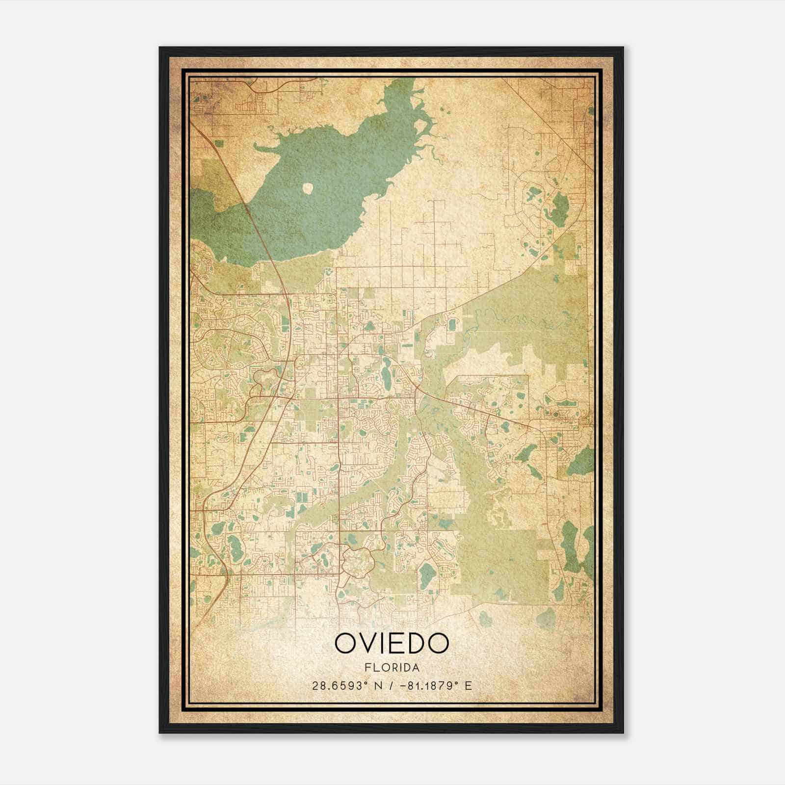 Vintage Oviedo Florida Map Poster, Modern Home Decor Wall Art Print