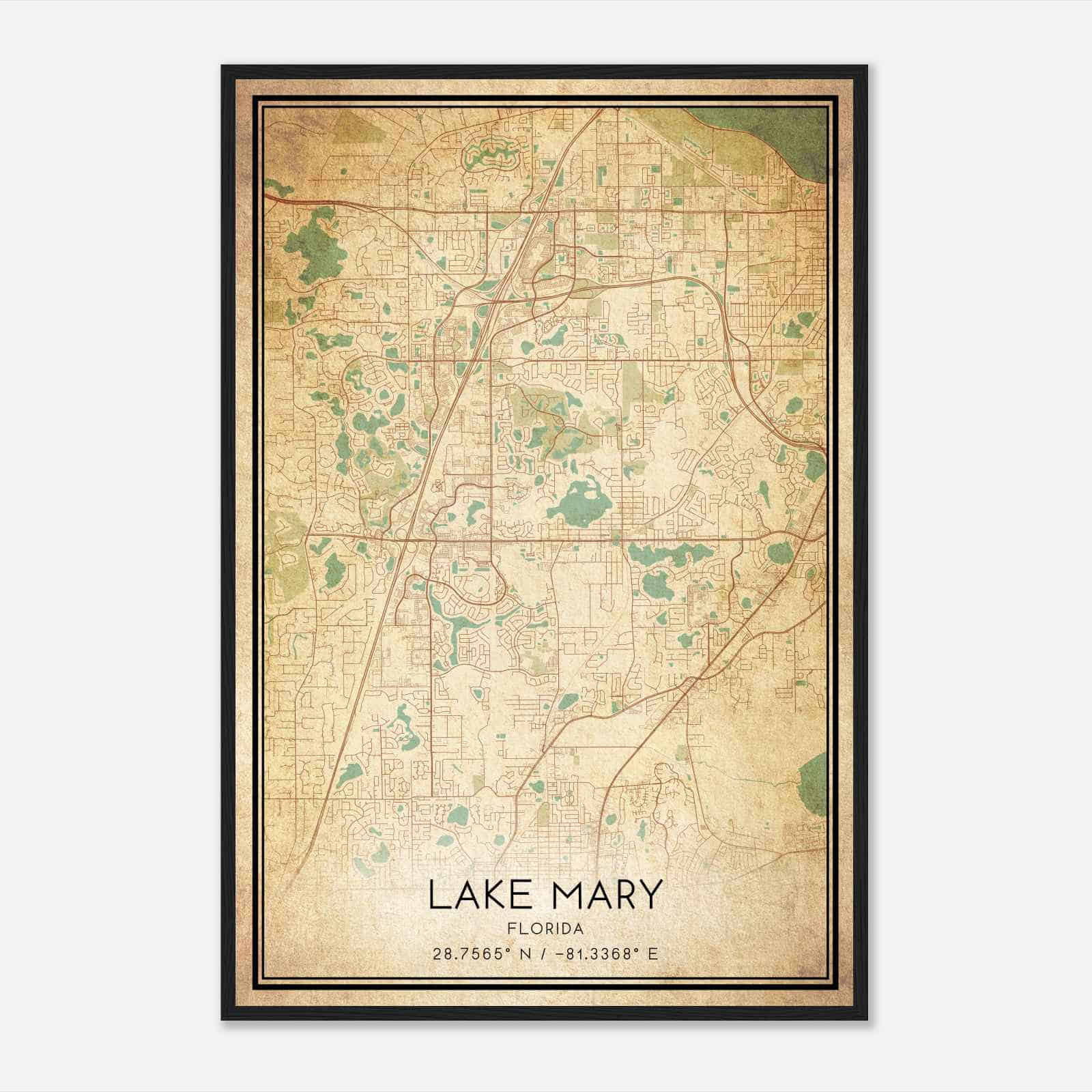 Vintage Lake Mary Florida Map Poster, Modern Home Decor Wall Art Print