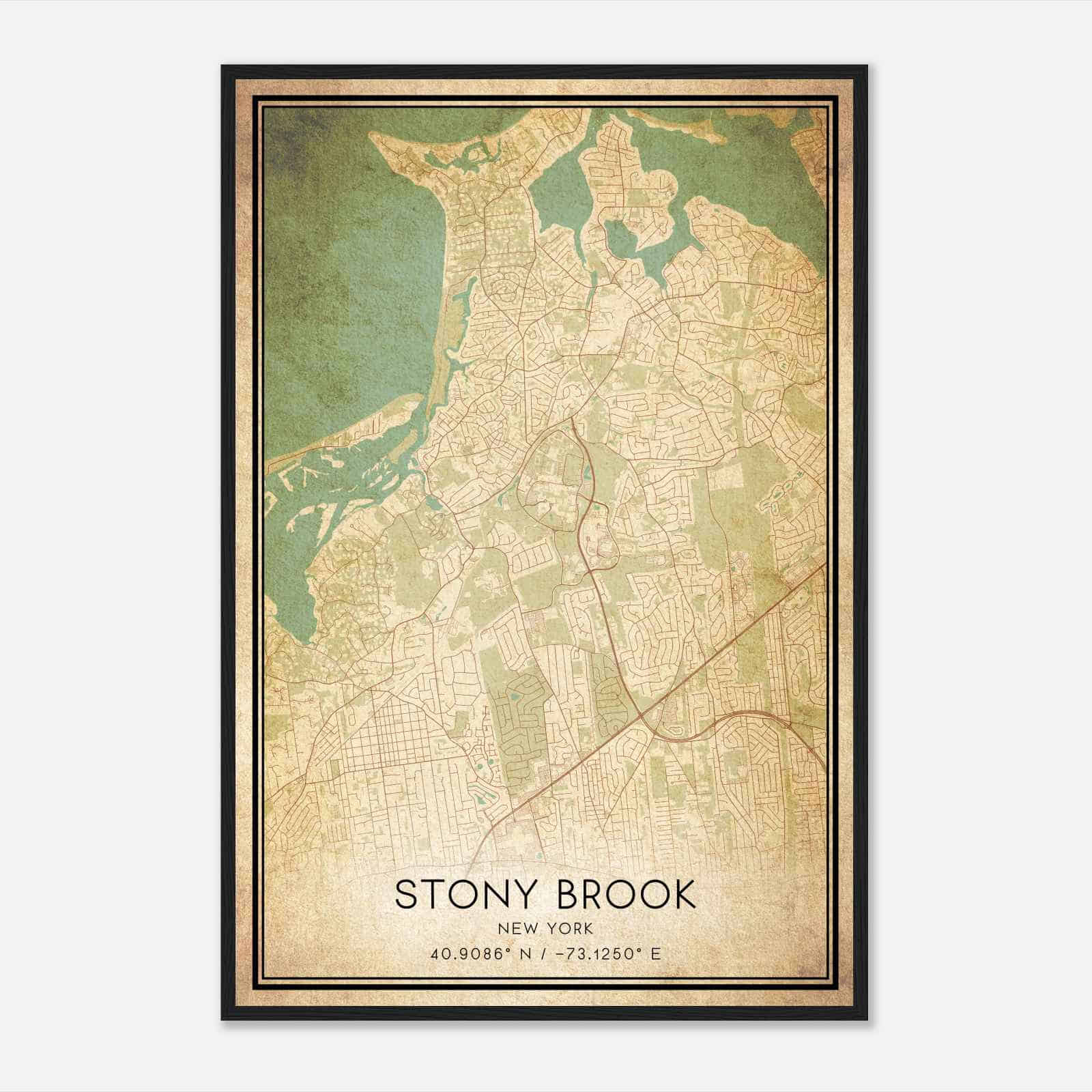 Vintage Stony Brook New York Map Poster, Modern Home Decor Wall Art Print