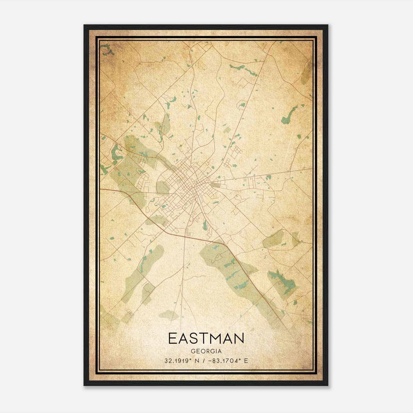 Vintage Eastman Georgia Map Poster, Modern Home Decor Wall Art Print