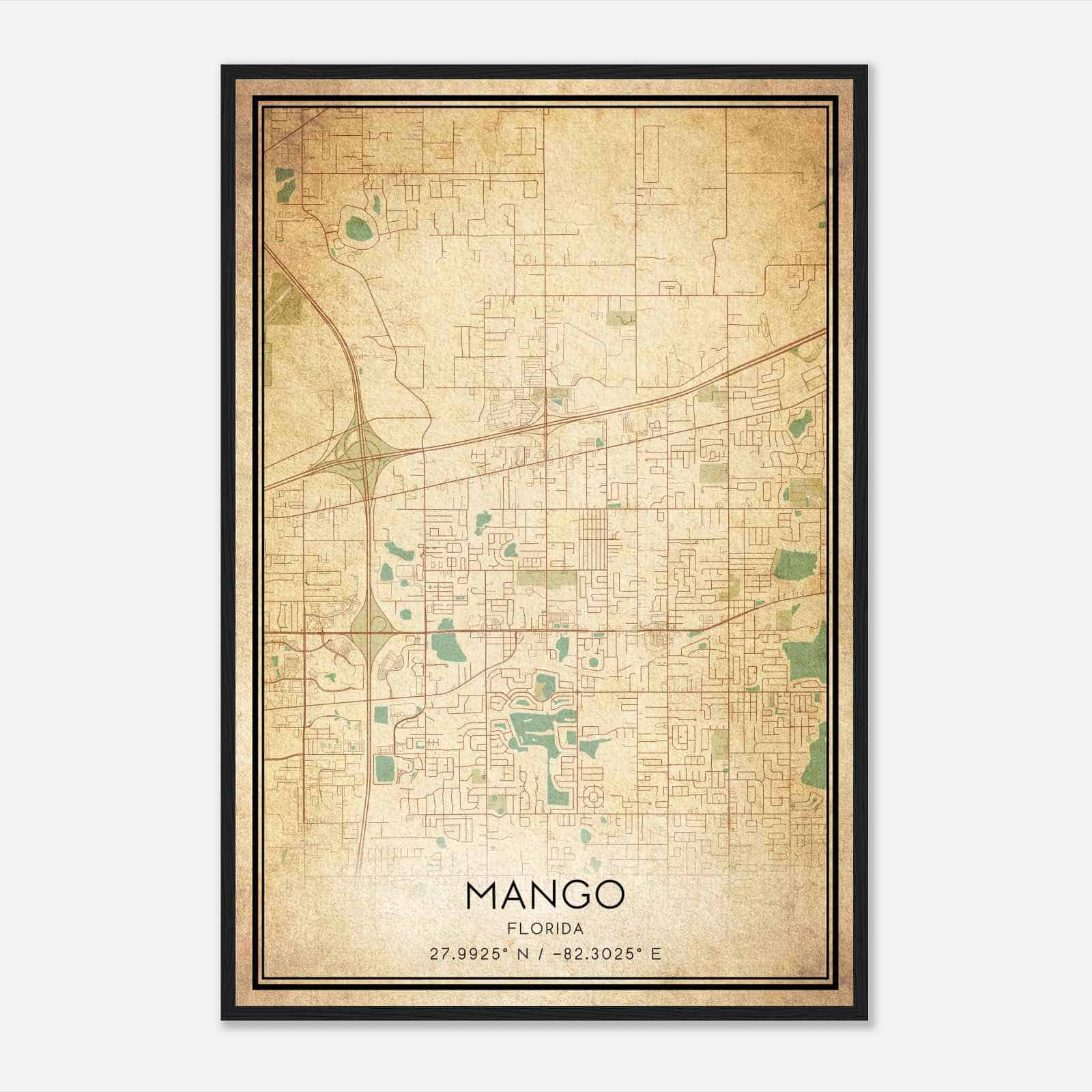 Vintage Mango Florida Map Poster, Modern Home Decor Wall Art Print