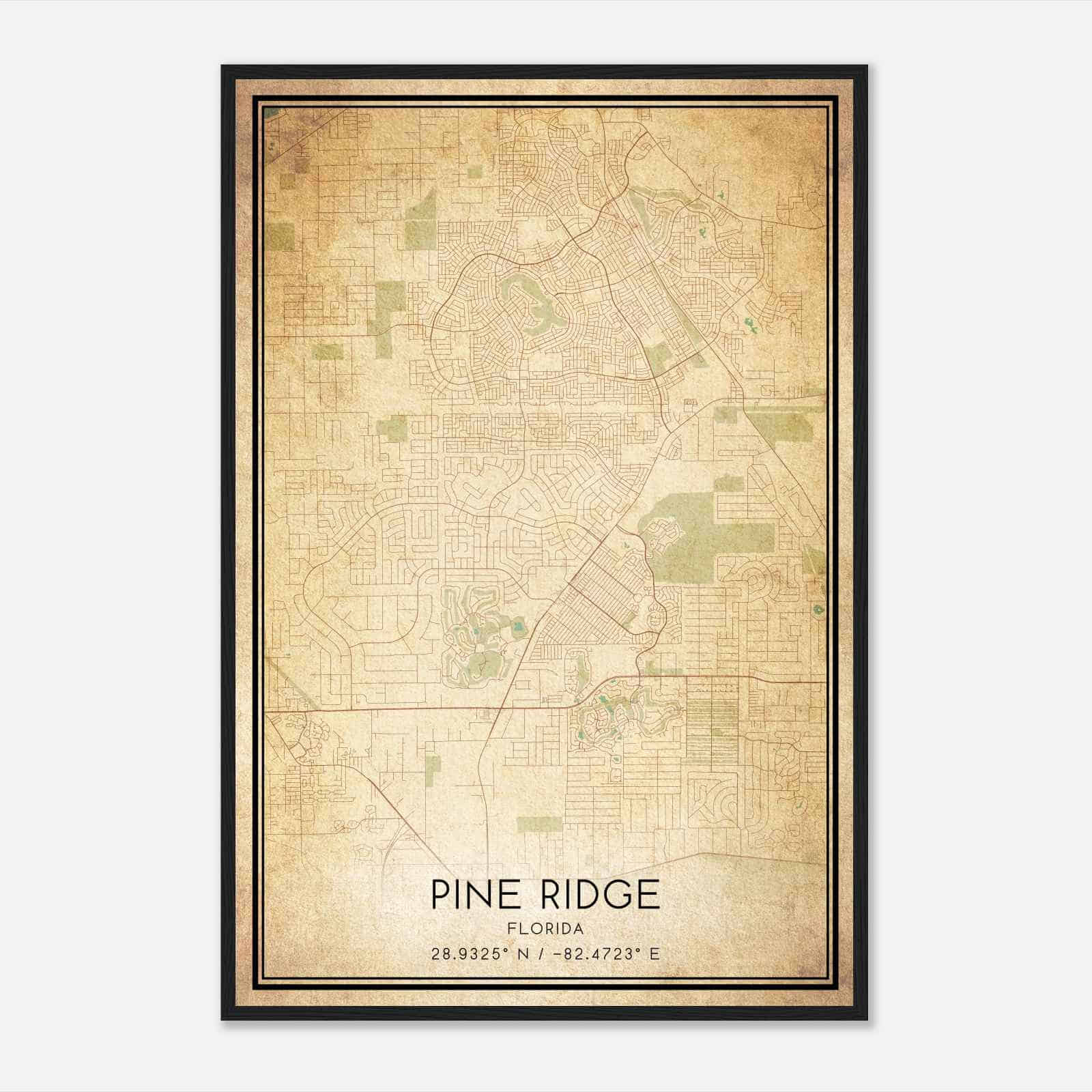 Vintage Pine Ridge Florida Map Poster, Modern Home Decor Wall Art Print