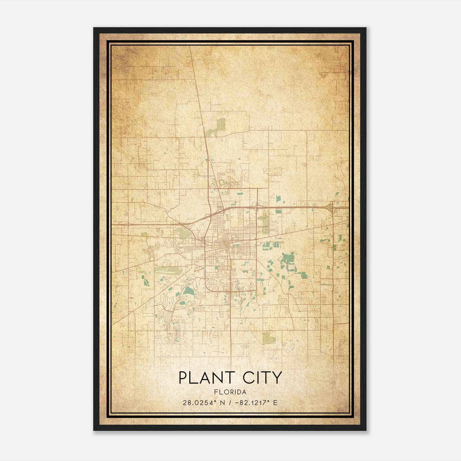 Vintage Plant City Florida Map Poster, Modern Home Decor Wall Art Print