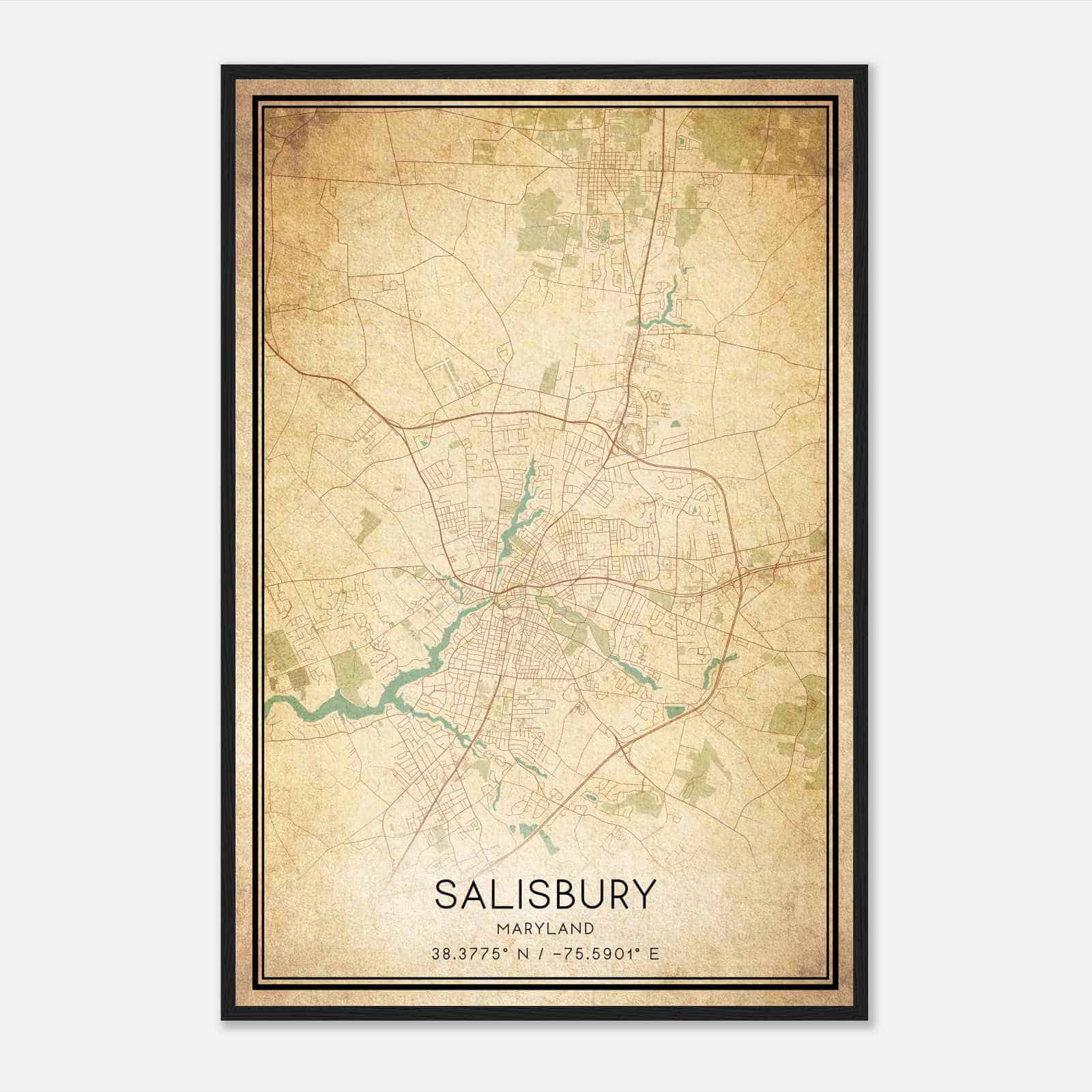 Vintage Salisbury Maryland Map Poster, Modern Home Decor Wall Art Print