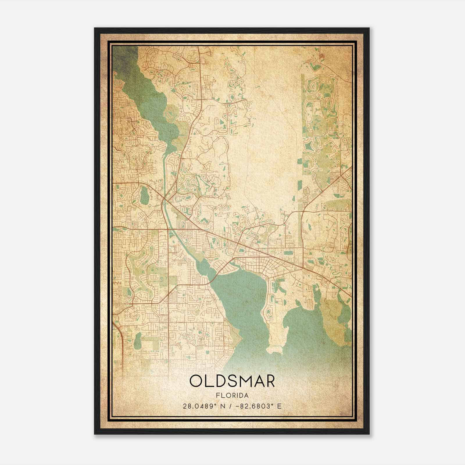 Vintage Oldsmar Florida Map Poster, Modern Home Decor Wall Art Print