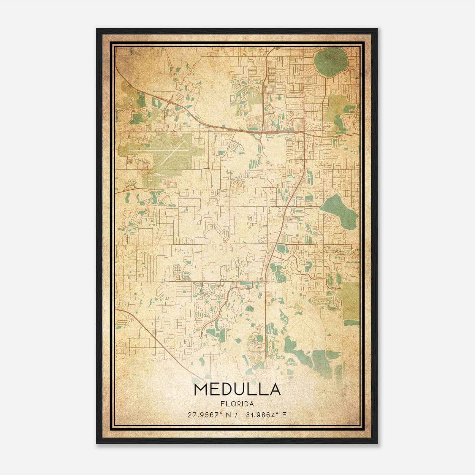Vintage Medulla Florida Map Poster, Modern Home Decor Wall Art Print
