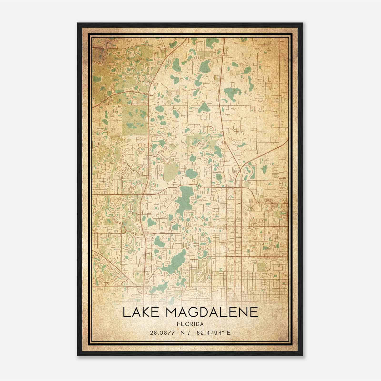 Vintage Lake Magdalene Florida Map Poster, Modern Home Decor Wall Art Print