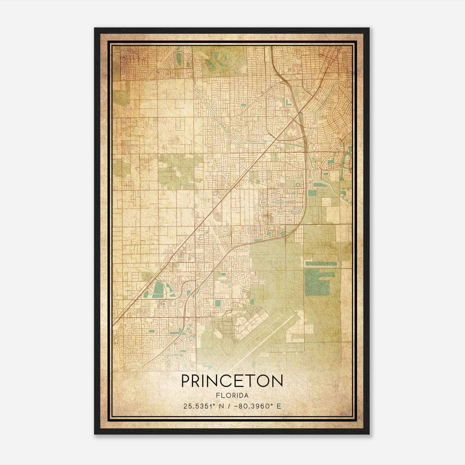 Vintage Princeton Florida Map Poster, Modern Home Decor Wall Art Print