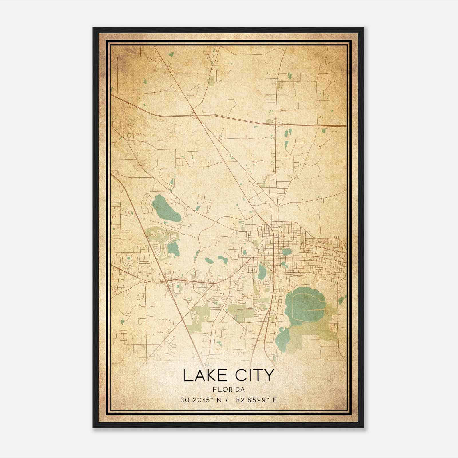 Vintage Lake City Florida Map Poster, Modern Home Decor Wall Art Print