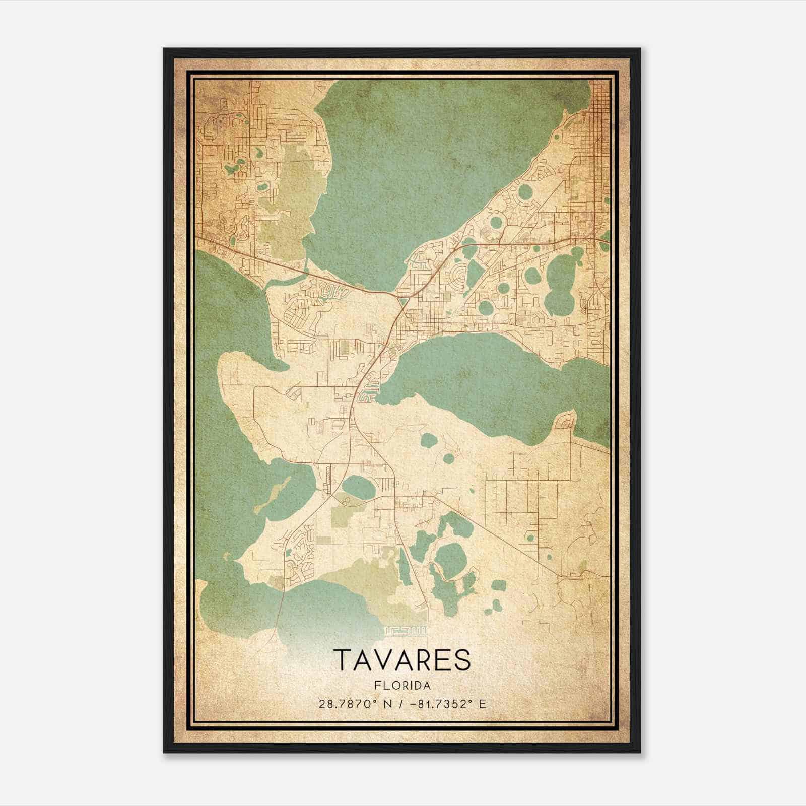 Vintage Tavares Florida Map Poster, Modern Home Decor Wall Art Print