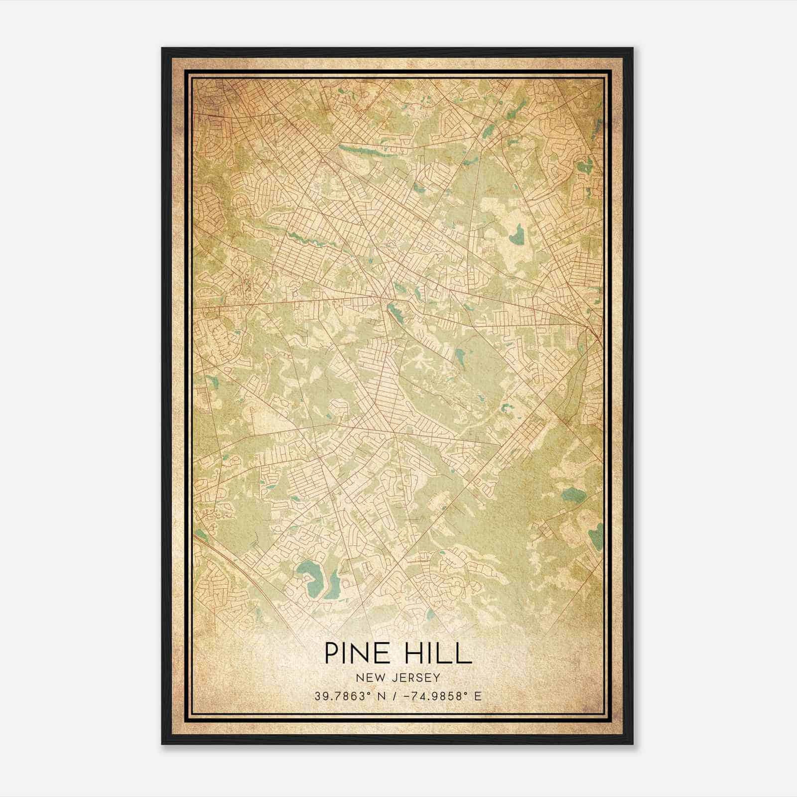 Vintage Pine Hill New Jersey Map Poster, Modern Home Decor Wall Art Print