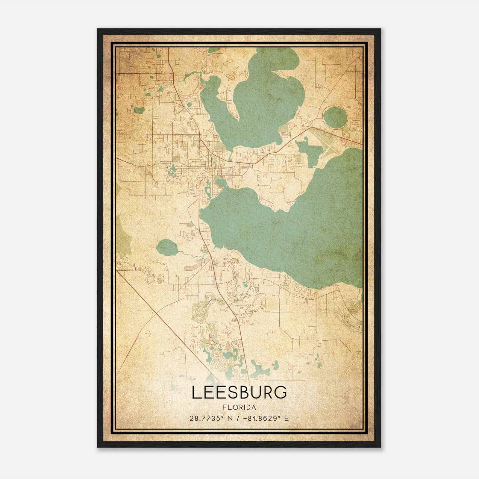 Vintage Leesburg Florida Map Poster, Modern Home Decor Wall Art Print