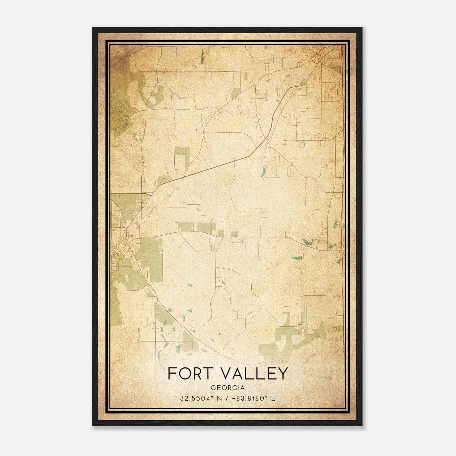 Vintage Fort Valley Georgia Map Poster, Modern Home Decor Wall Art Print