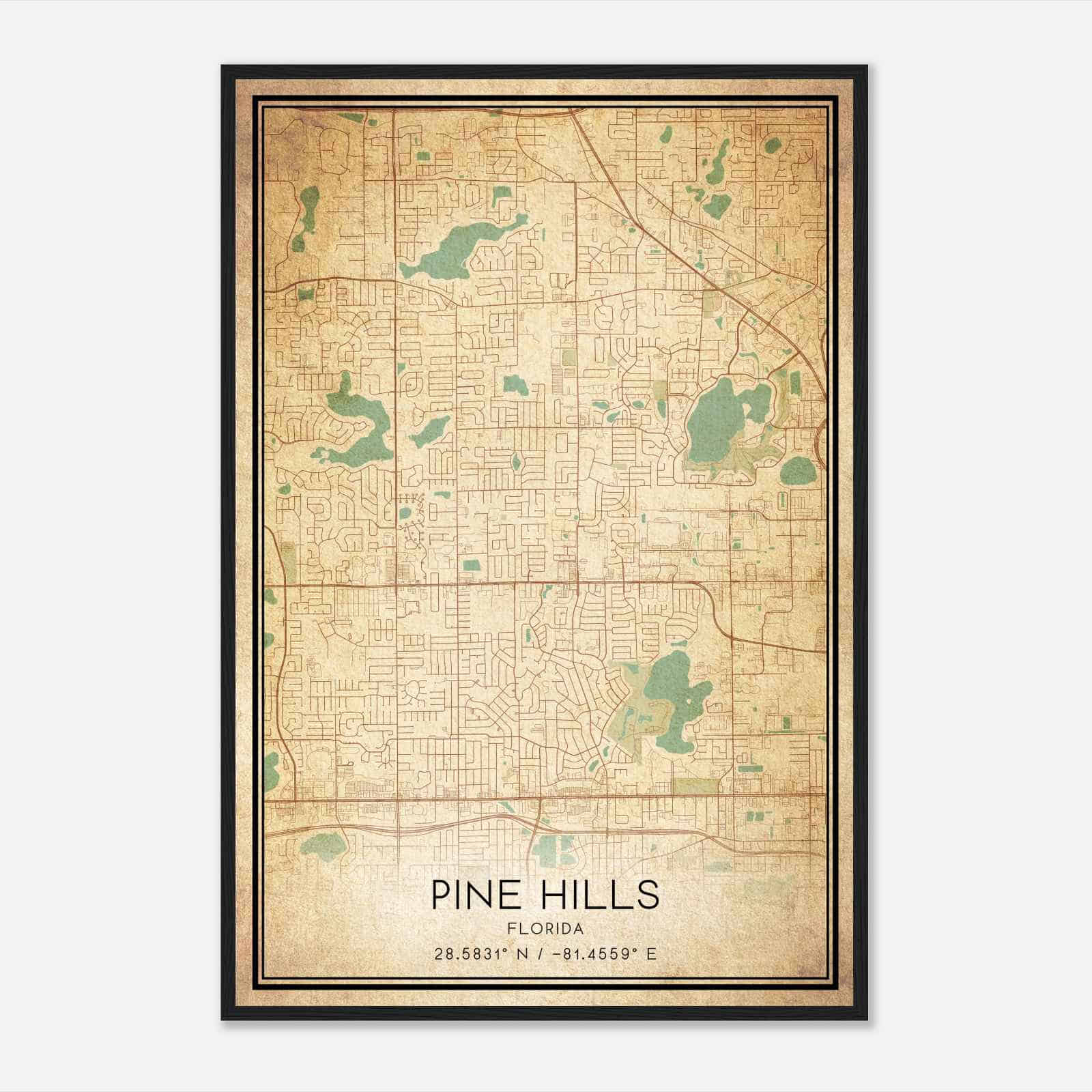 Vintage Pine Hills Florida Map Poster, Modern Home Decor Wall Art Print