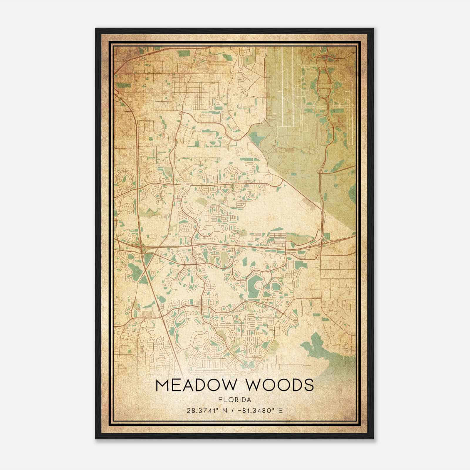 Vintage Meadow Woods Florida Map Poster, Modern Home Decor Wall Art Print