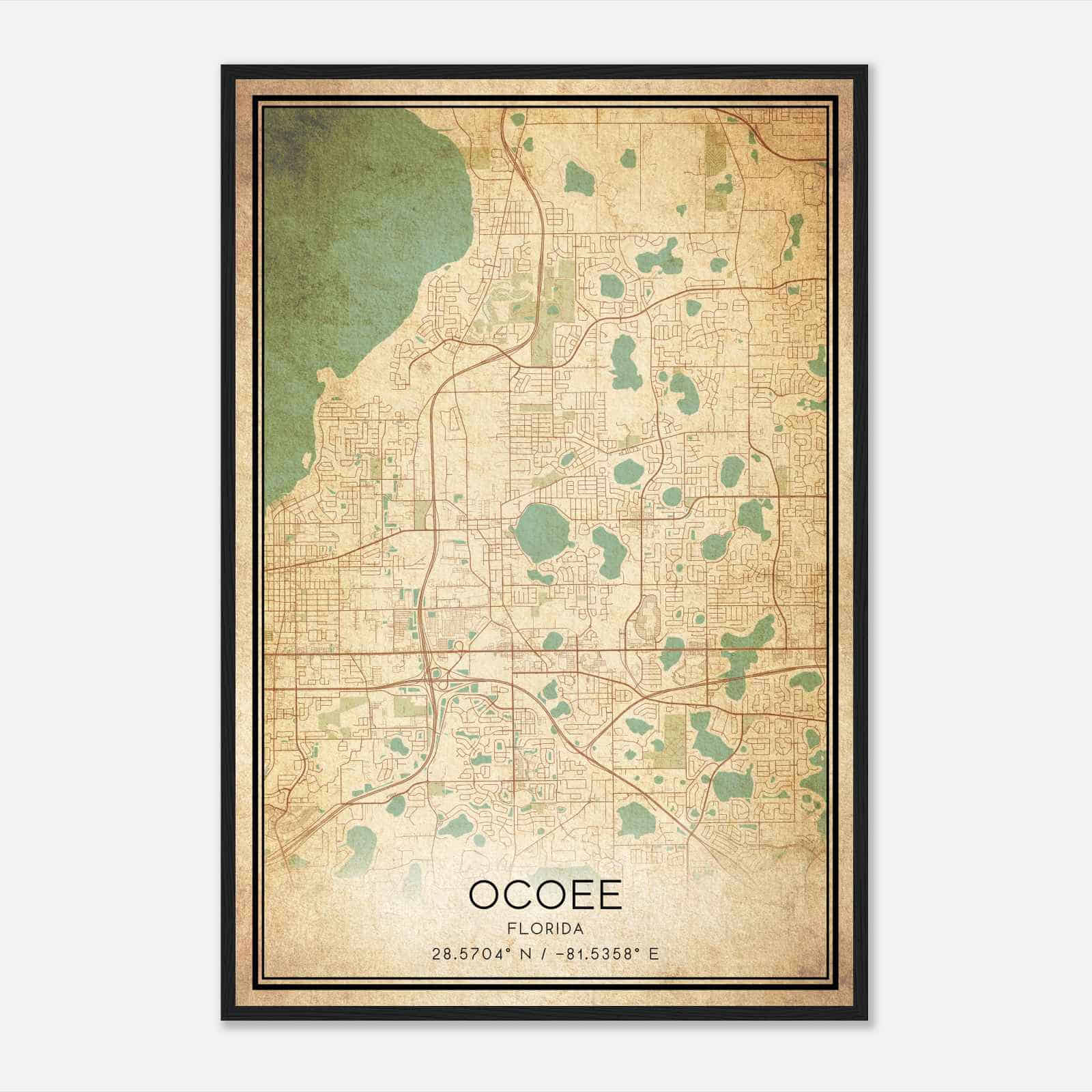 Vintage Ocoee Florida Map Poster, Modern Home Decor Wall Art Print