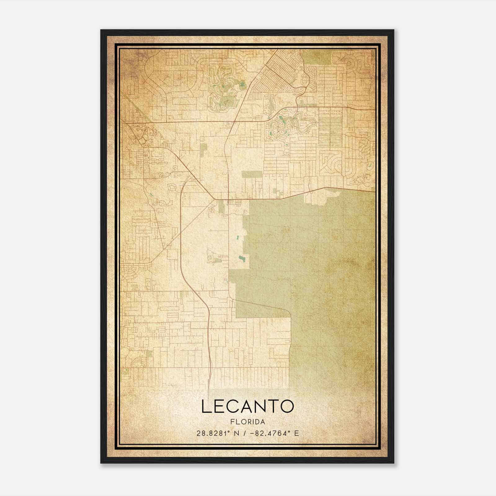 Vintage Lecanto Florida Map Poster, Modern Home Decor Wall Art Print