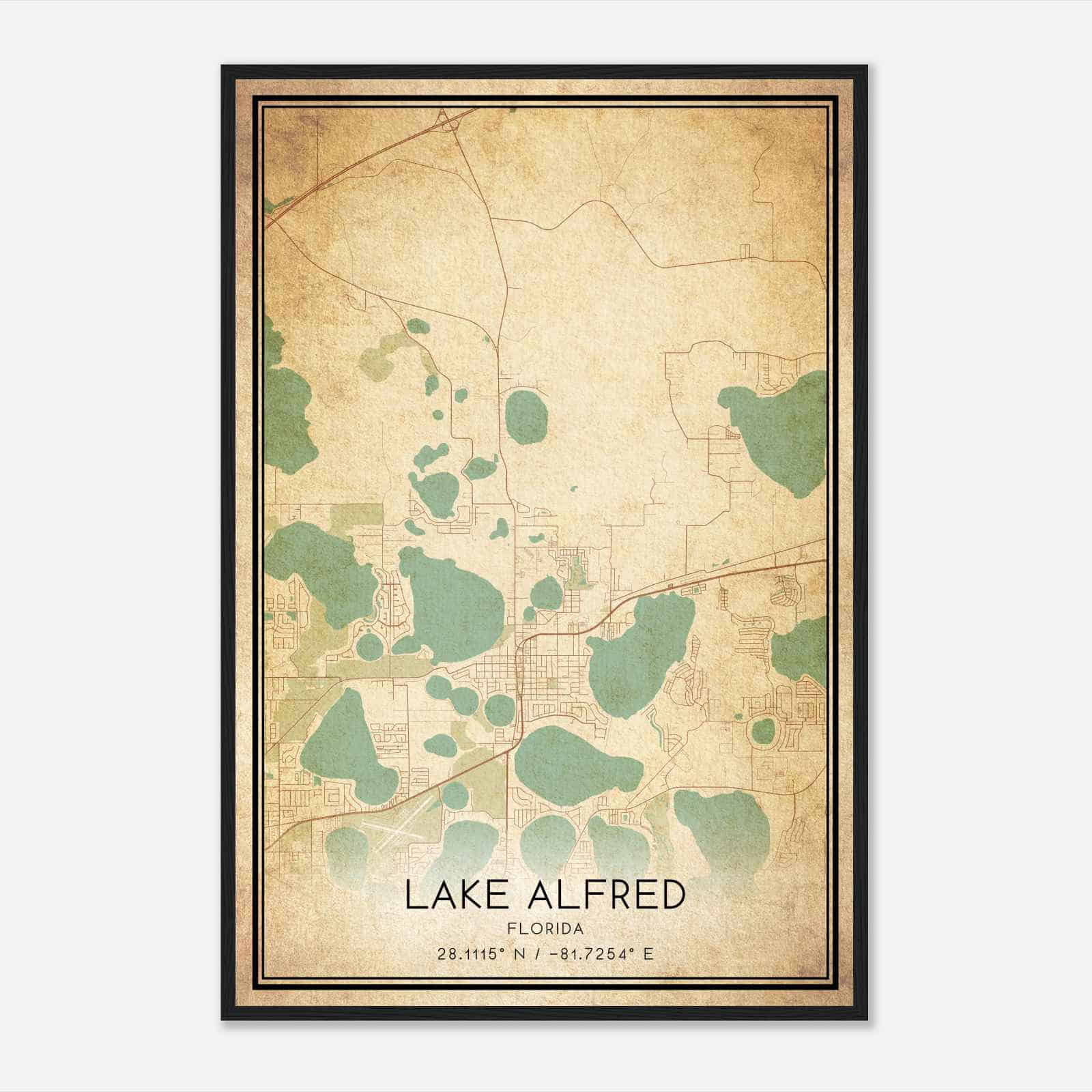Vintage Lake Alfred Florida Map Poster, Modern Home Decor Wall Art