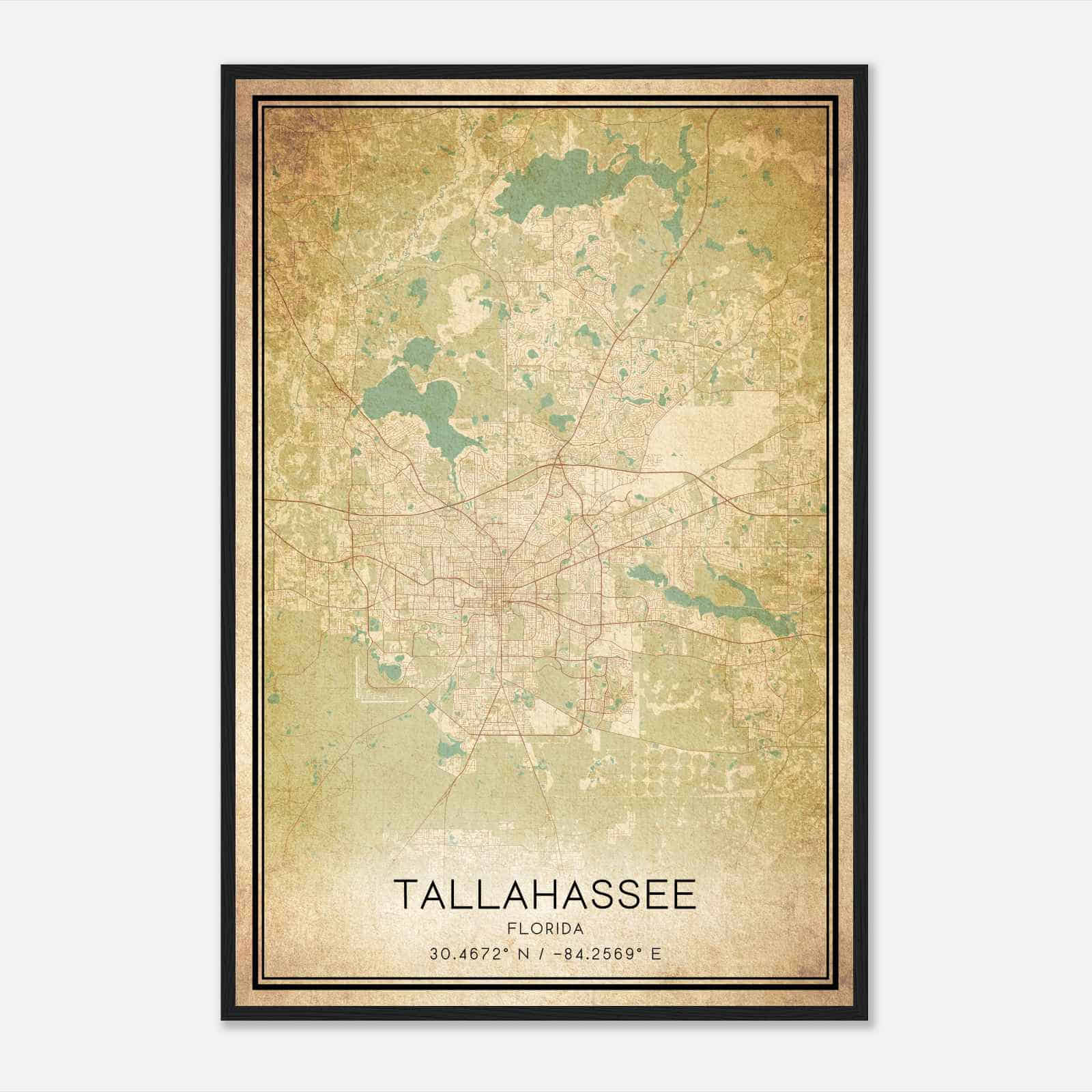 Vintage Tallahassee Florida Map Poster, Modern Home Decor Wall Art Print