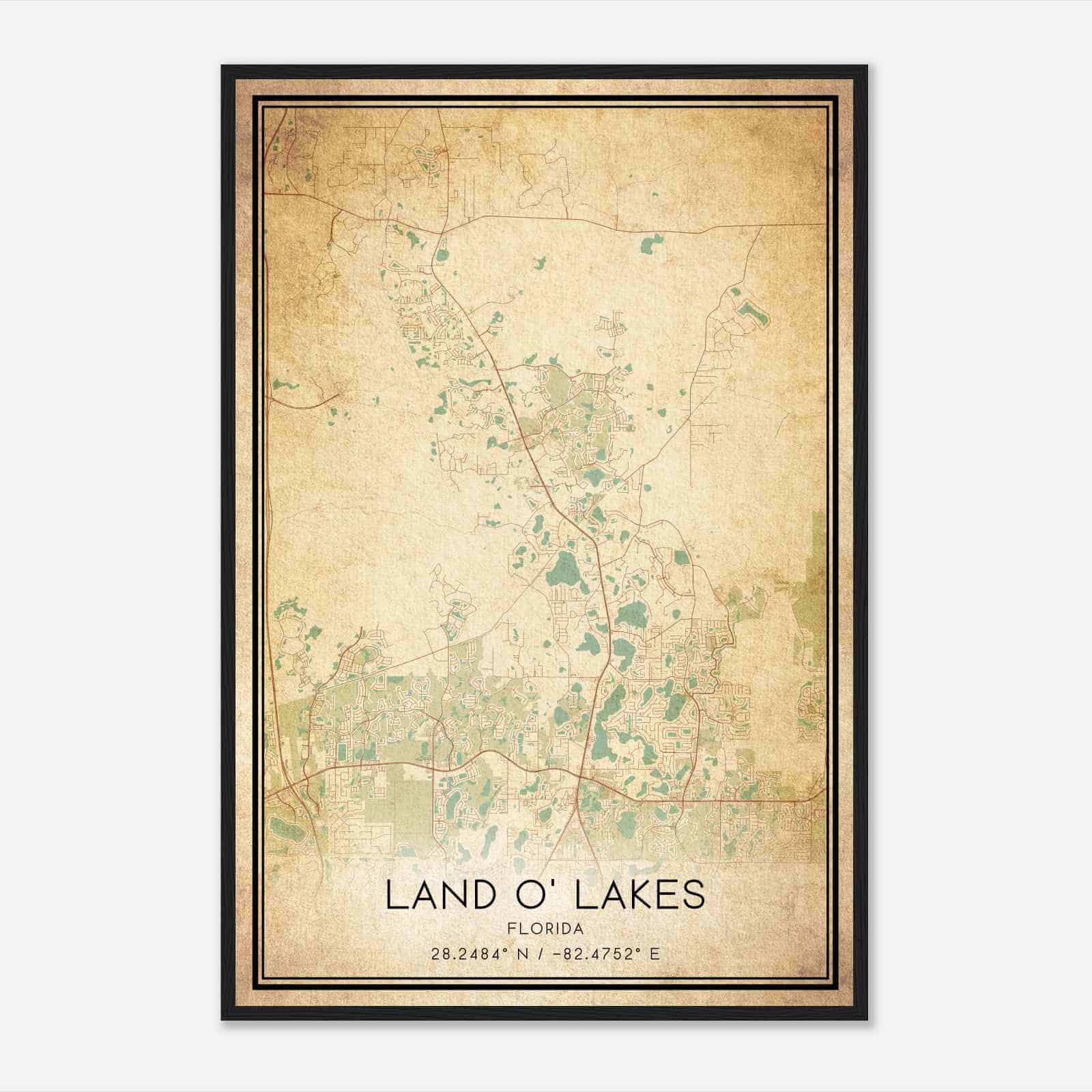 Vintage Land O’ Lakes Florida Map Poster, Modern Home Decor Wall Art Print