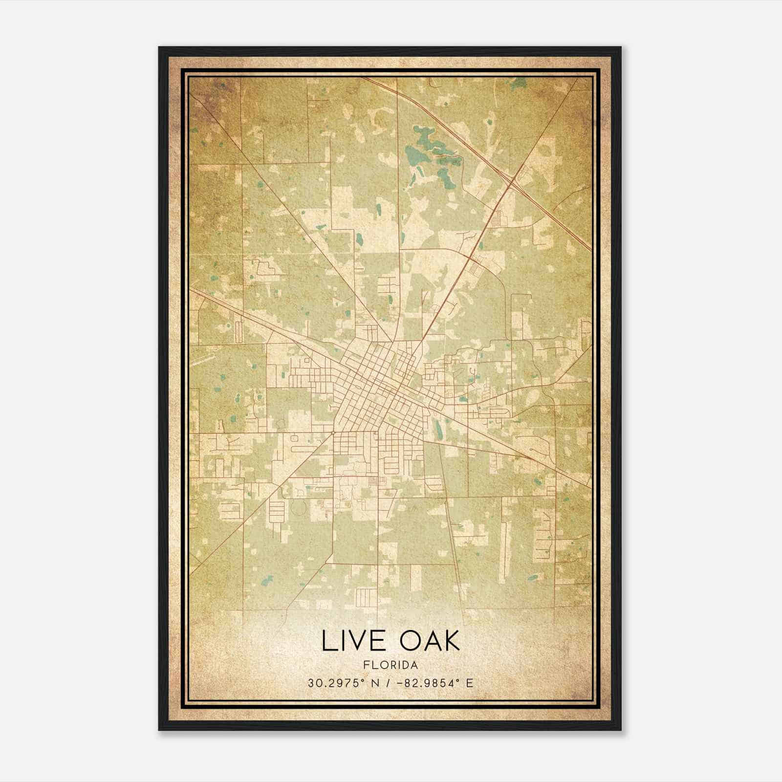 Vintage Live Oak Florida Map Poster, Modern Home Decor Wall Art Print