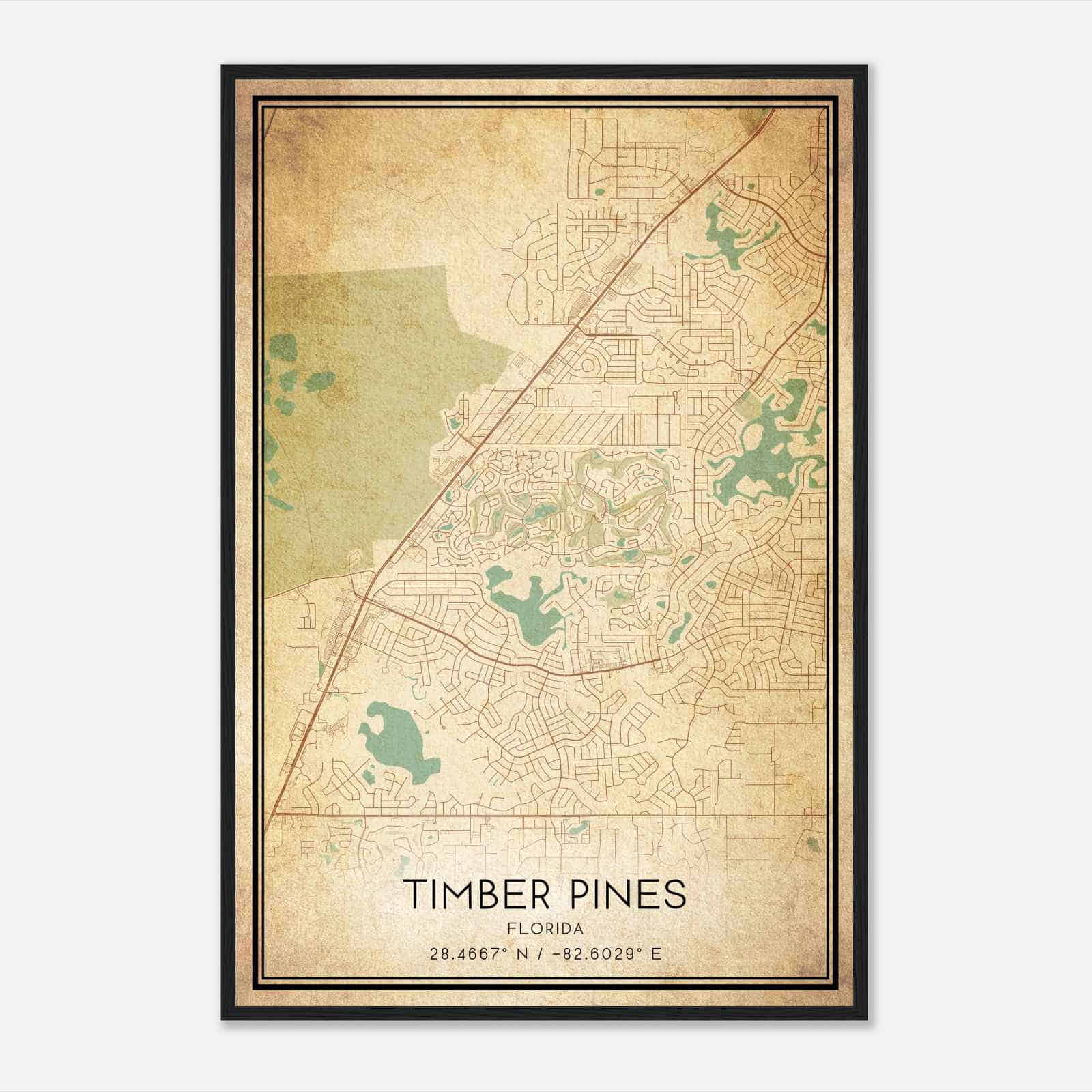 Vintage Timber Pines Florida Map Poster, Modern Home Decor Wall Art Print