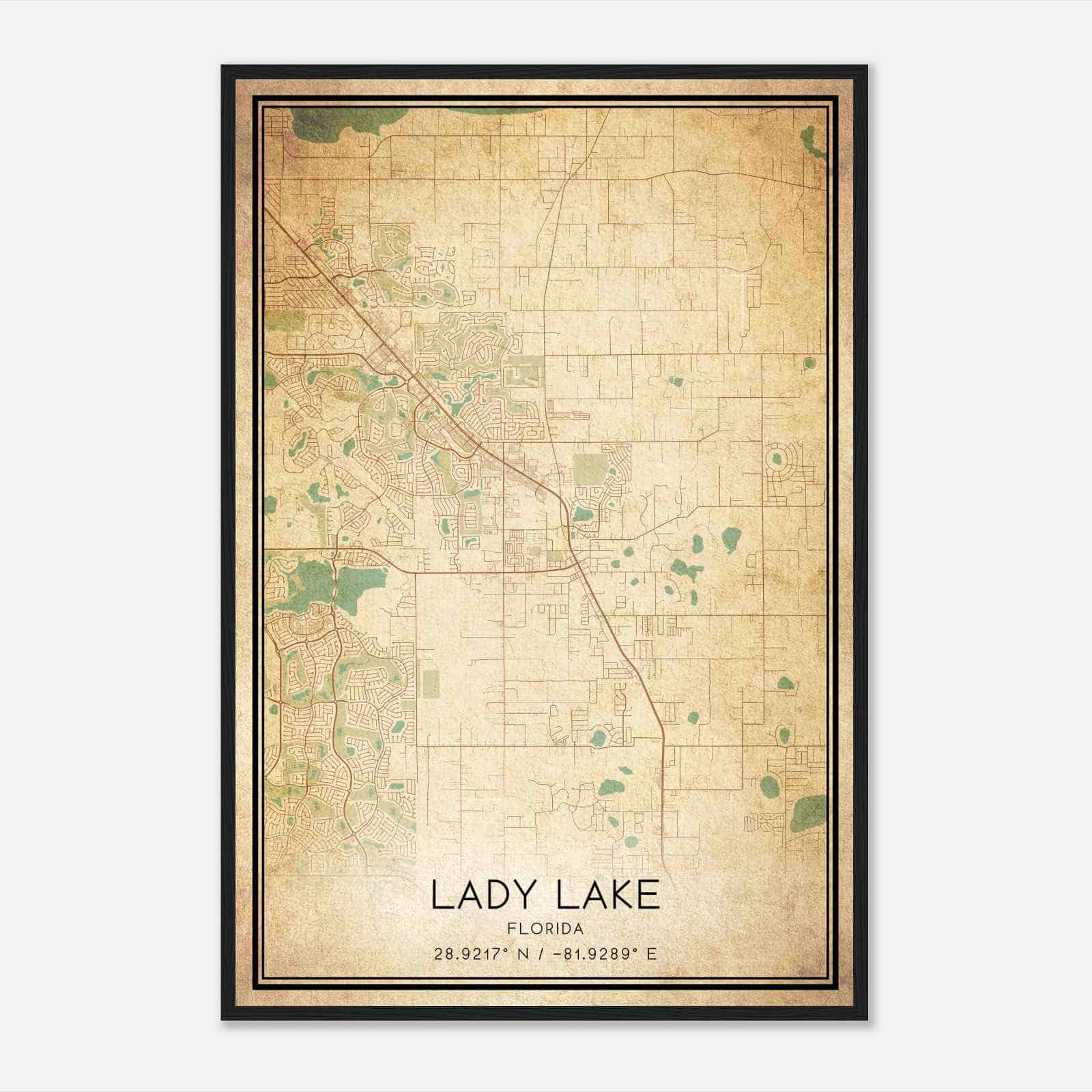 Vintage Lady Lake Florida Map Poster, Modern Home Decor Wall Art Print