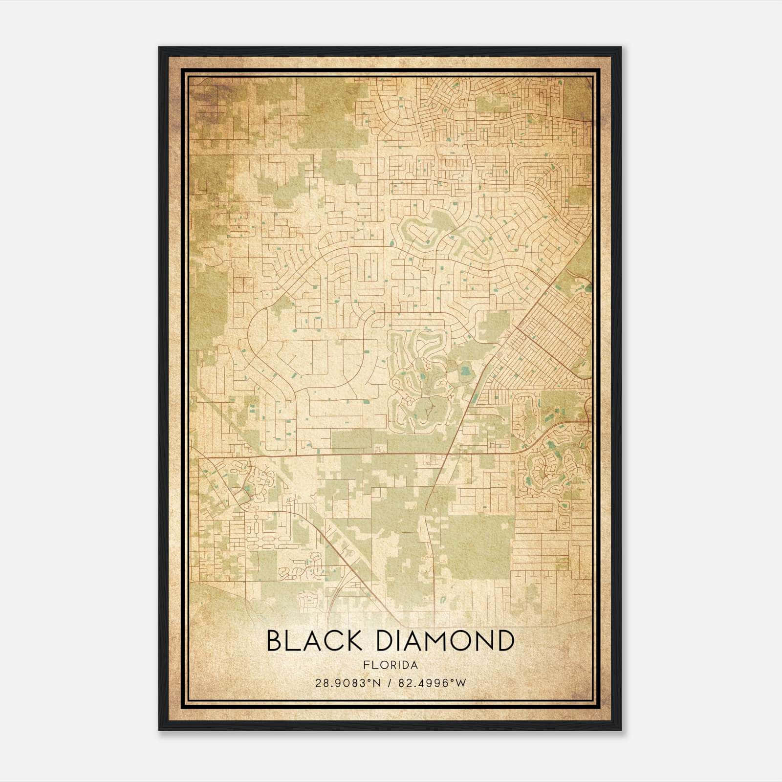 Vintage Black Diamond Florida Map Poster, Black Diamond FL City Road Wall Art Print Vintage Black Diamond Florida Map Poster, Black Diamond FL City Road Wall Art Print
