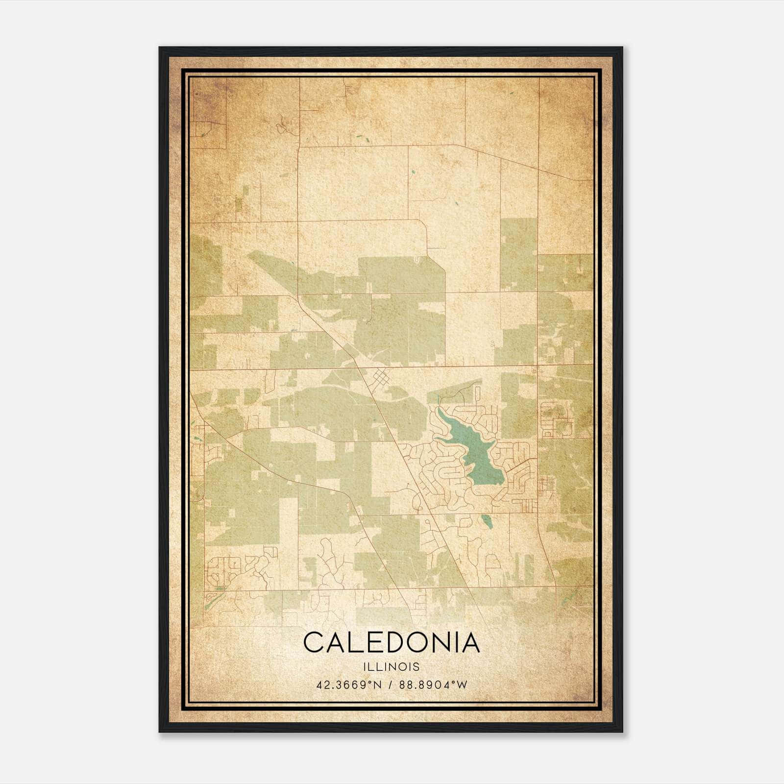Vintage Caledonia Illinois Map Poster, Caledonia IL City Road Wall Art Print Vintage Caledonia Illinois Map Poster, Caledonia IL City Road Wall Art Print