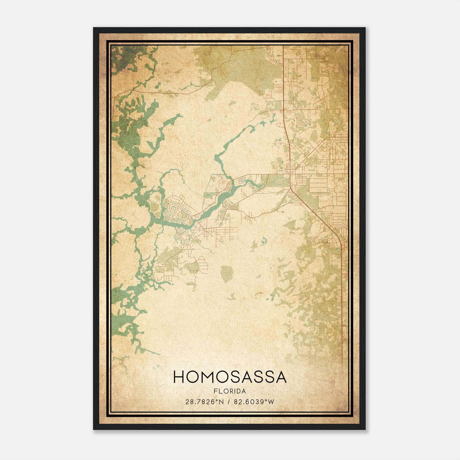 Vintage Homosassa Florida Map Poster, Homosassa FL City Road Wall Art Print Vintage Homosassa Florida Map Poster, Homosassa FL City Road Wall Art Print