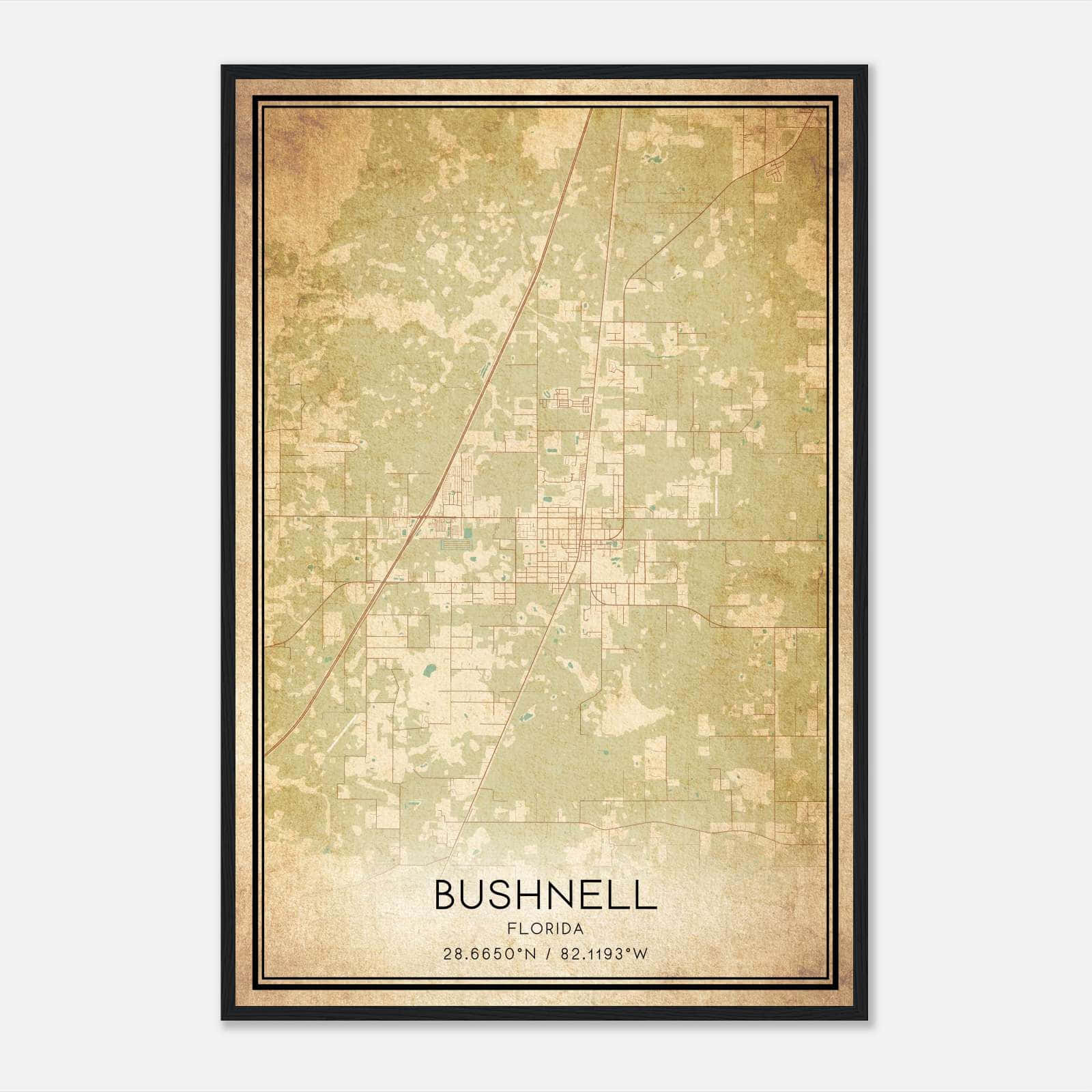 Vintage Bushnell Florida Map Poster - Ff16b7774b0715401b644d4702807835 