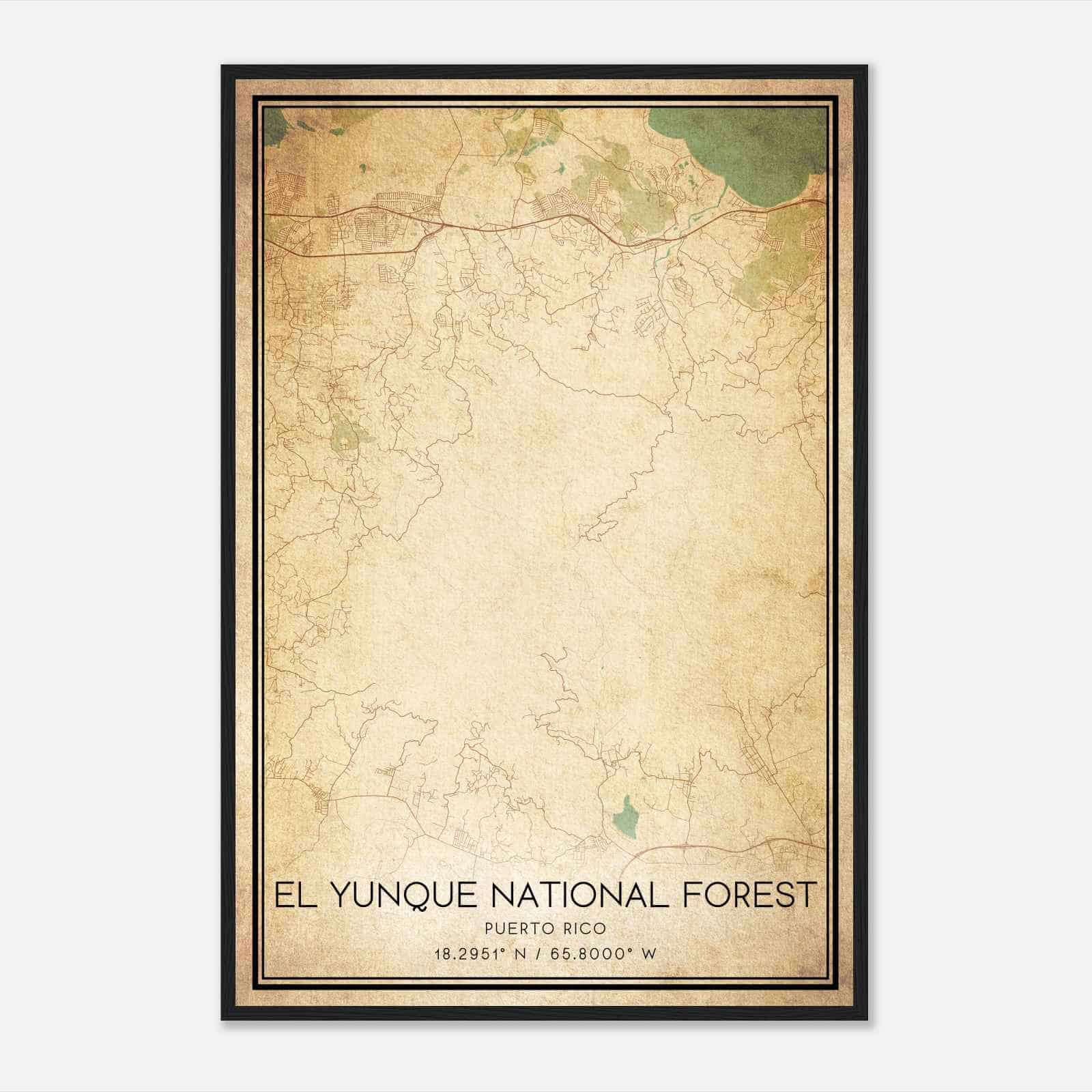 Vintage El Yunque National Forest - 11f00e1ab5738c1c86b0e80e3bbe996d 