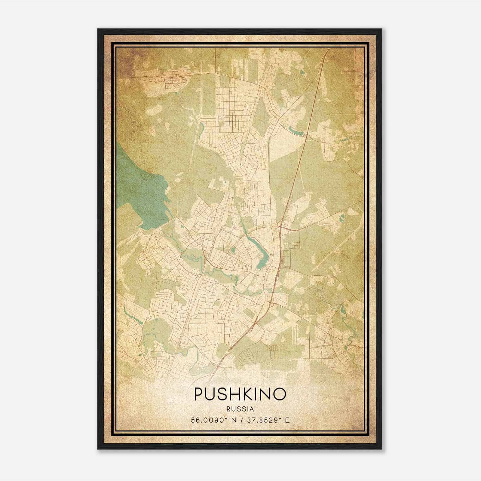 Vintage Pushkino Russia Map Poster, Pushkino City Road Wall Art Print