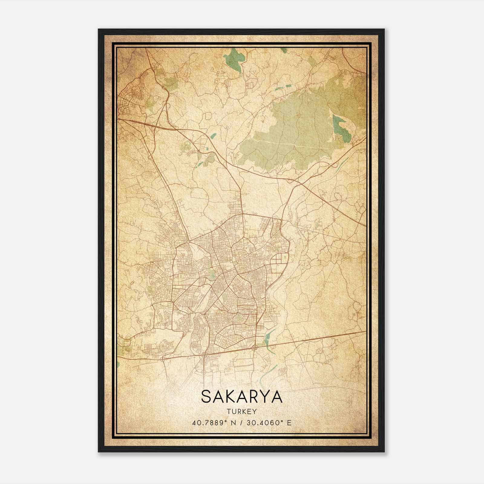 Vintage Sakarya Turkey Map Poster, Sakarya City Road Wall Art Print