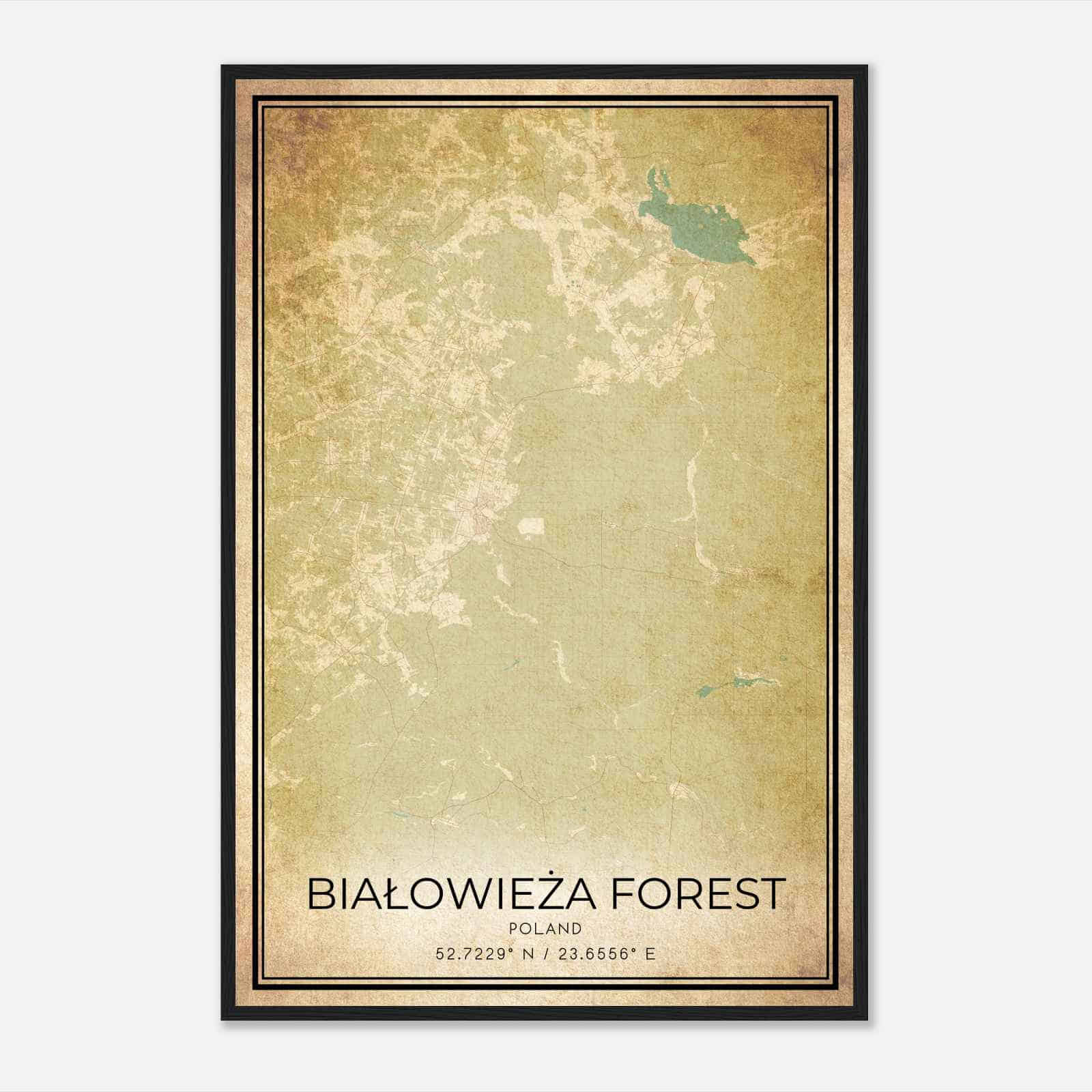 Vintage Bialowieza Forest Poland Map Poster, Bialowieza Forest City Road Wall Art Print