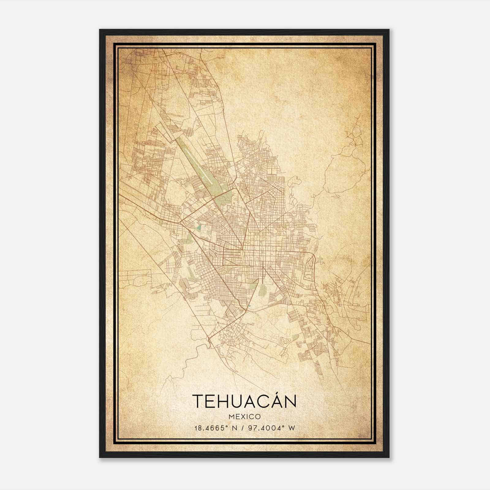 Vintage Tehuacan Mexico Map Poster, Tehuacan City Road Wall Art Print