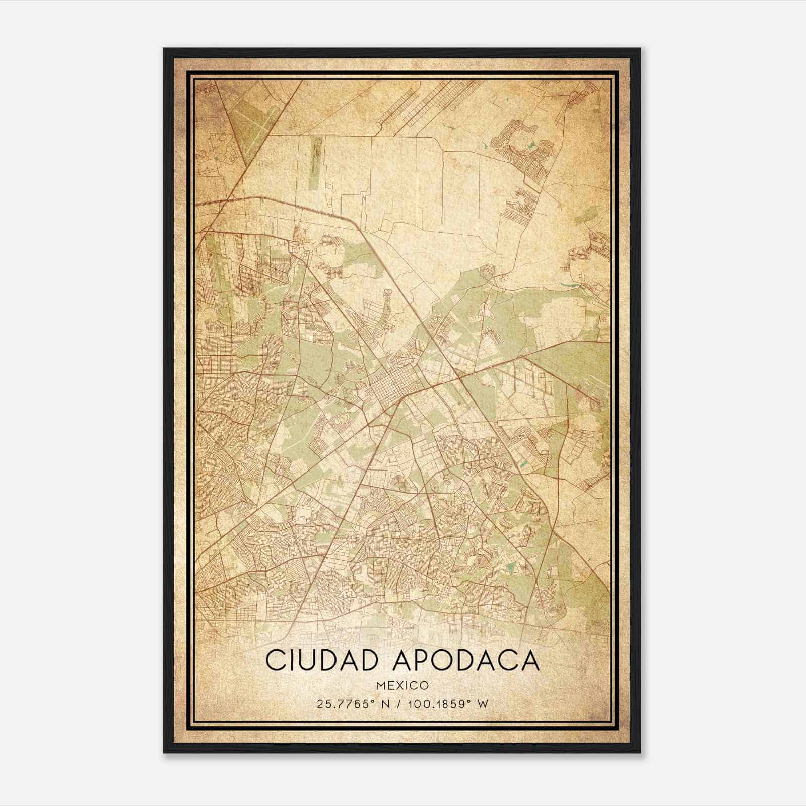 Ciudad Apodaca Custom Maps & Posters
